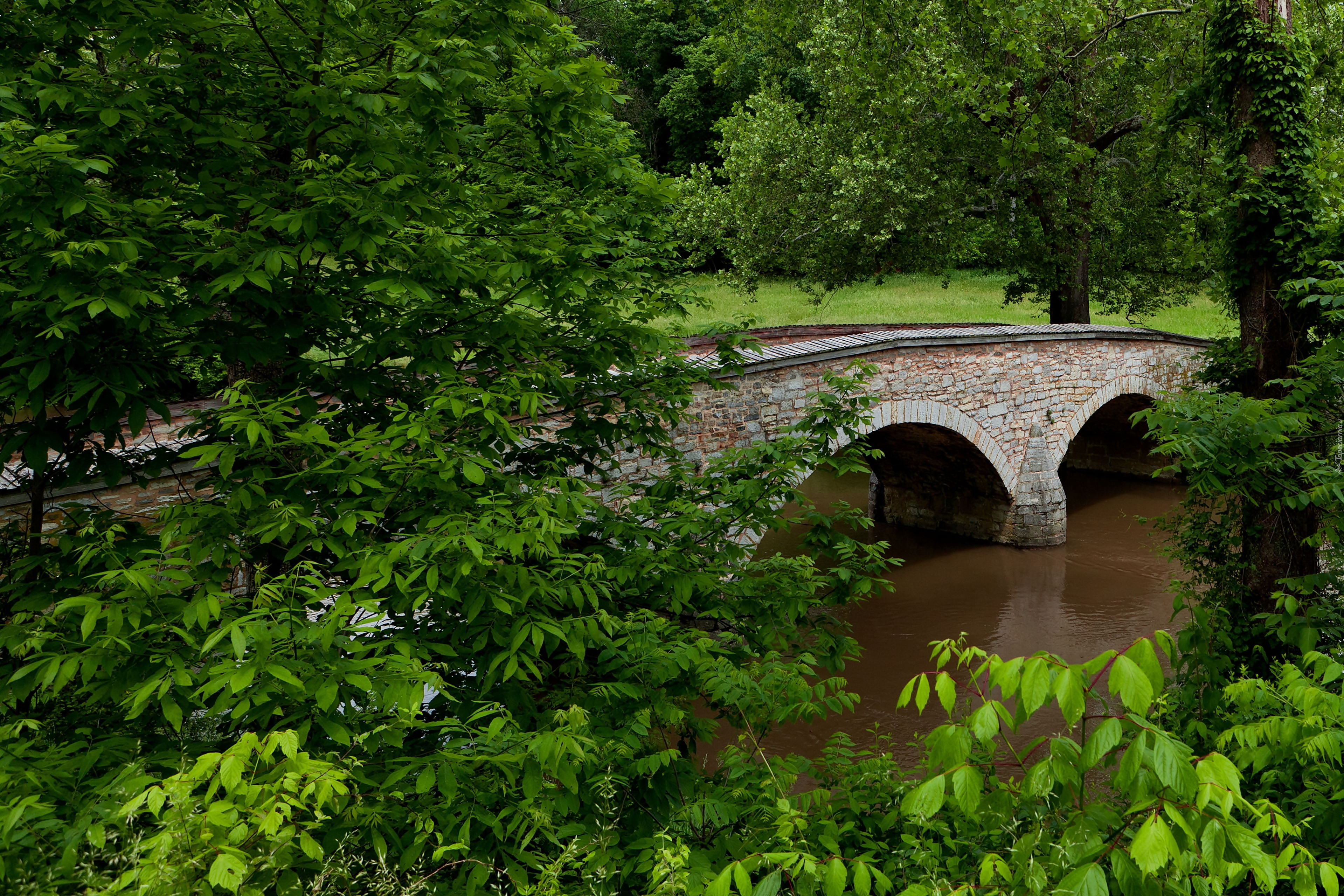 Rzeka, Park, Most