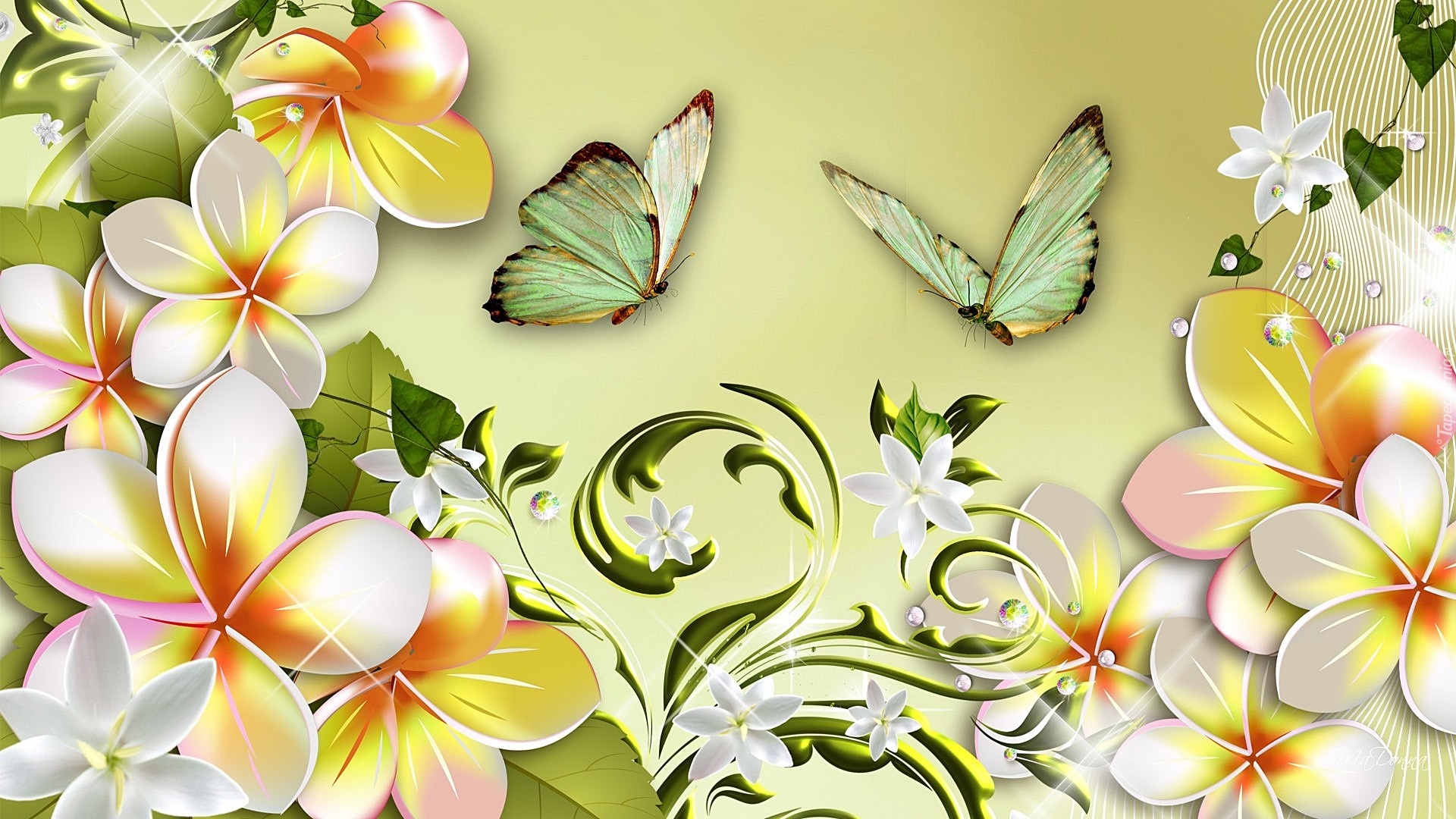 Kwiaty, Plumeria, Motyle, Art