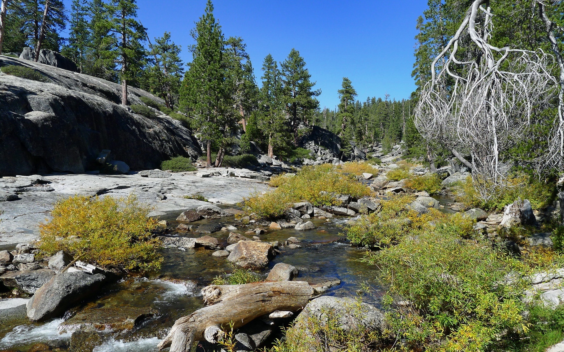 Stany Zjednoczone, Stan Kalifornia, Park Narodowy Yosemite, Kamienie, Rzeka, Las