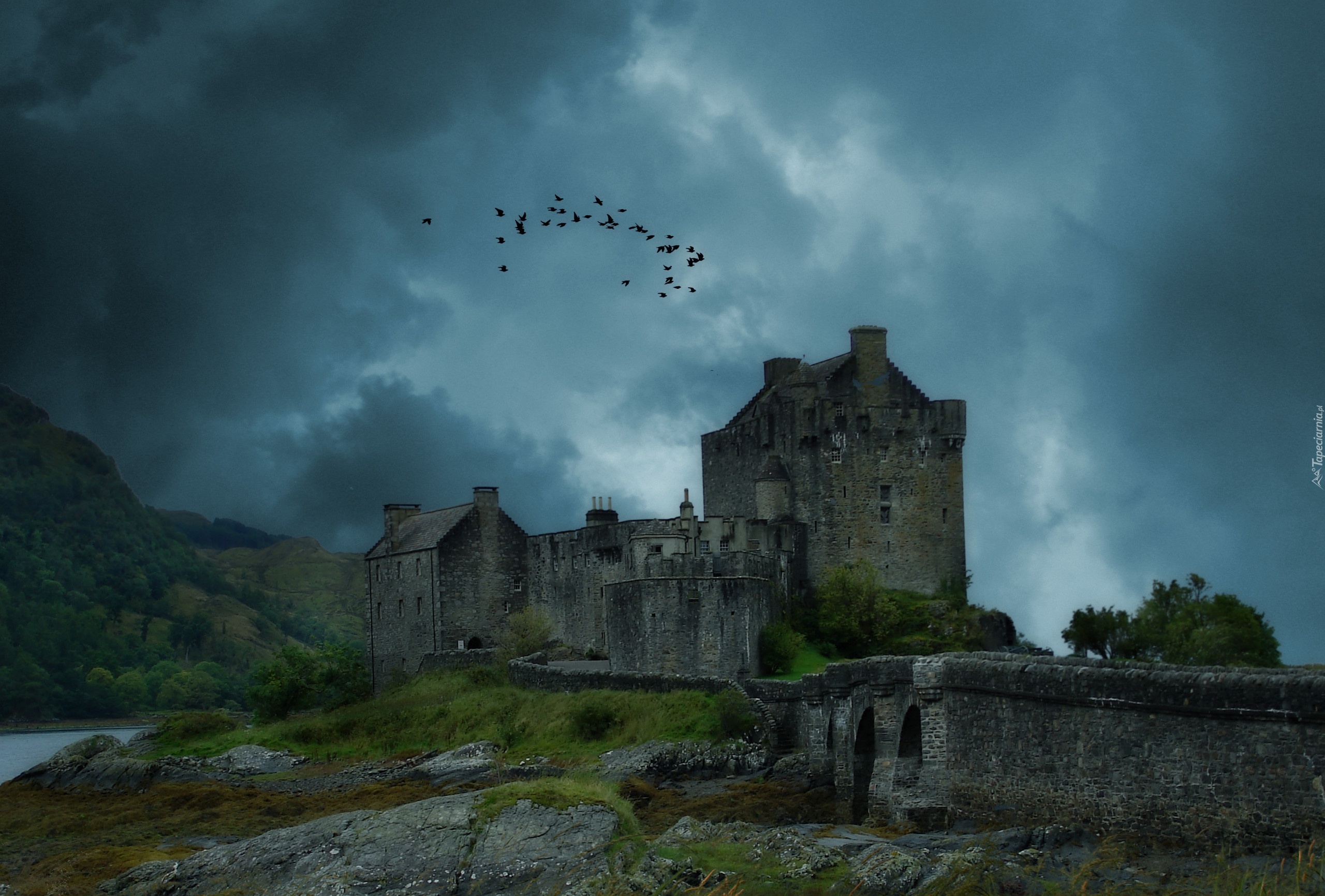 Szkocja, Wzgórze, Zamek Doune Castle, Wieczór, Ptaki