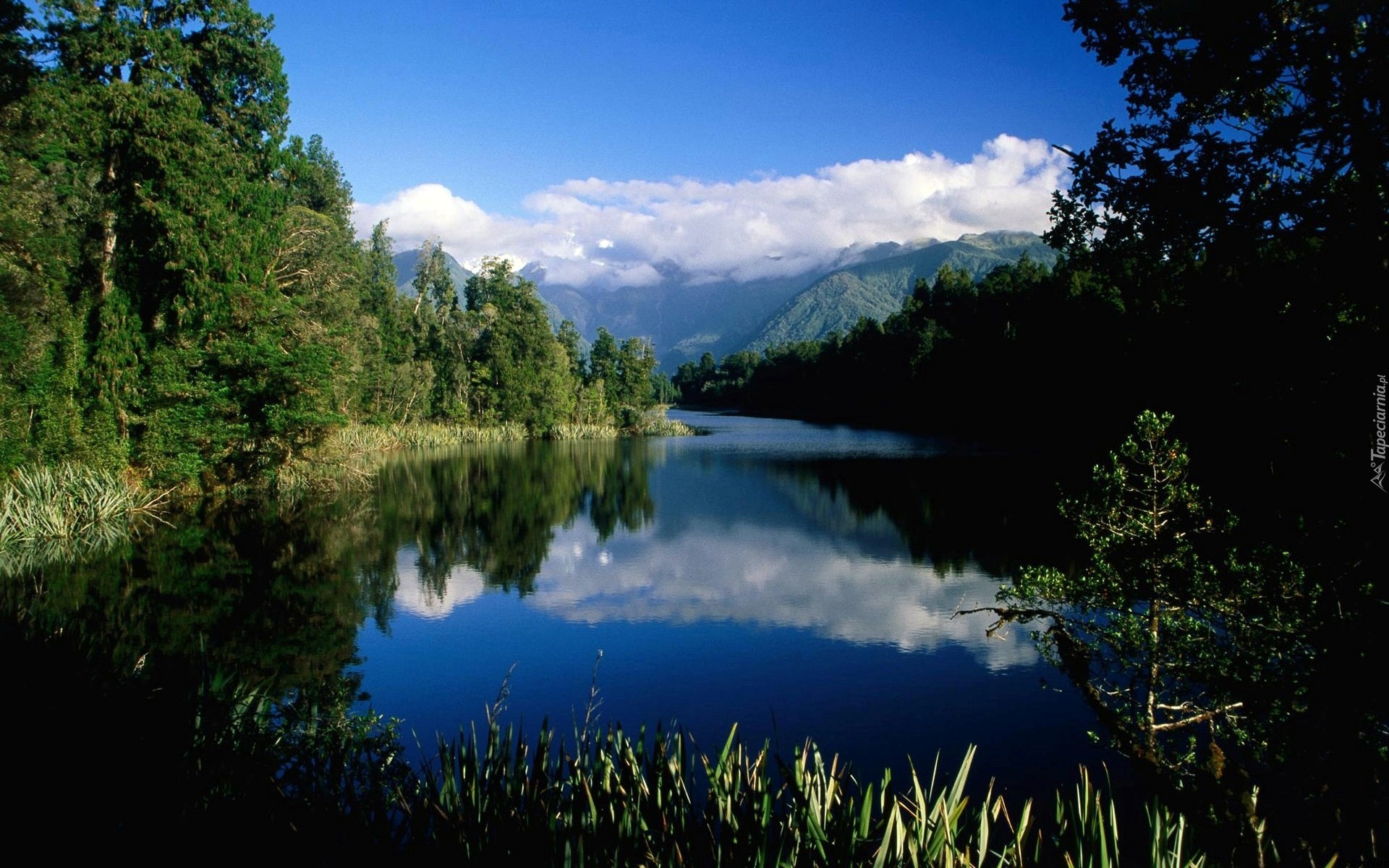 Góry, Jezioro, Las, Obłoki