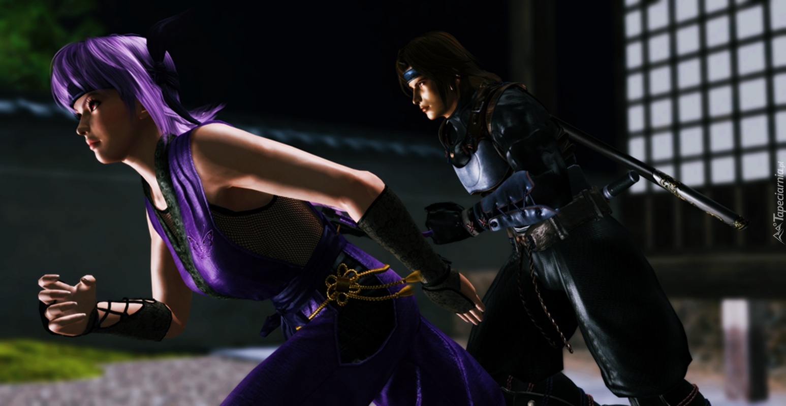 Dead Or Alive 5, Ayane, Hayate
