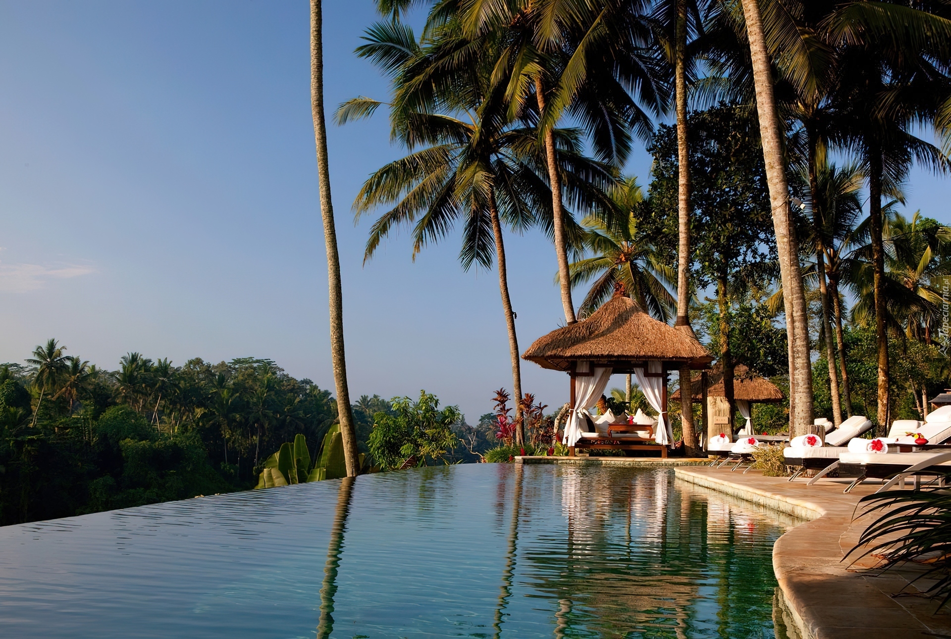 Bali, Dżungla, Hotel, Viceroy, Basen, Palmy
