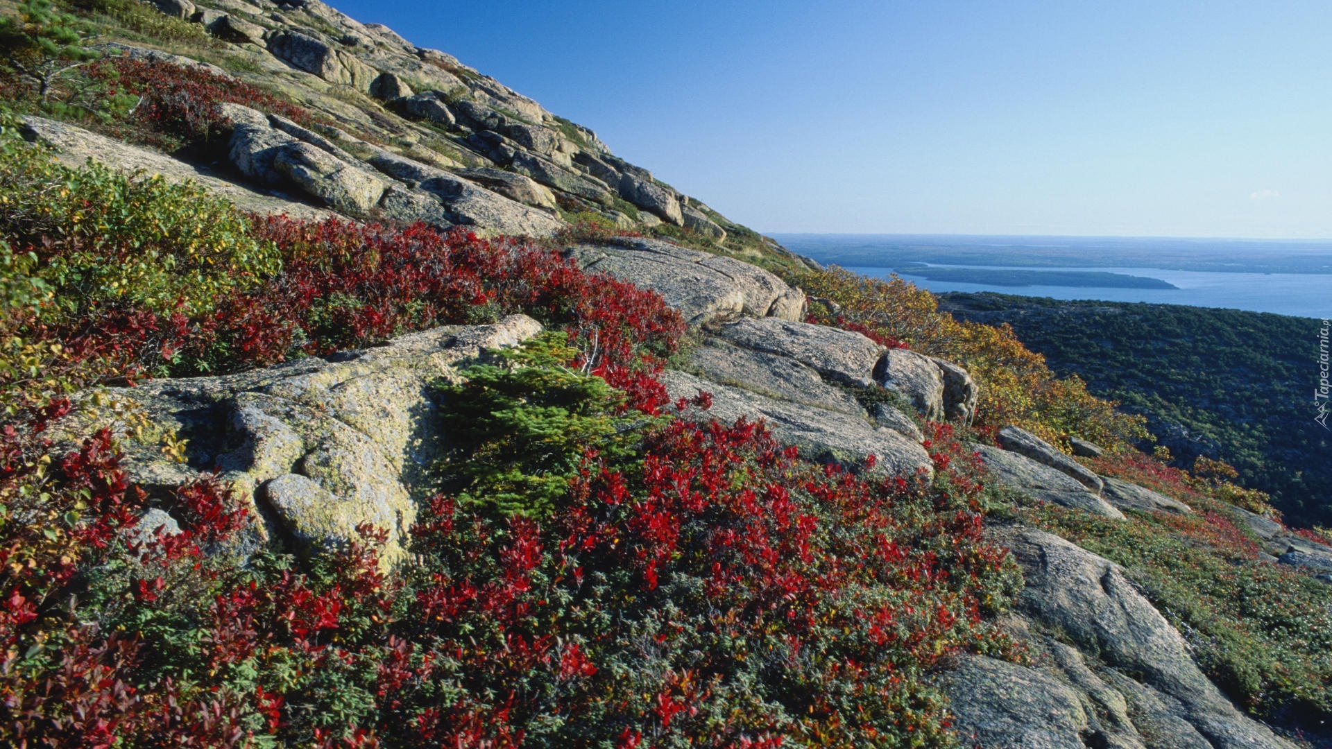 Stany Zjednoczone, Stan Maine, Park Narodowy Acadia, Morze, Skały