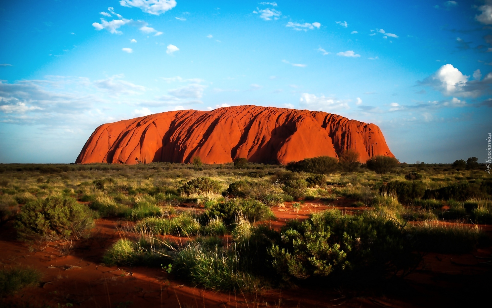 Uluru, Czerwona, Skała, Skrub