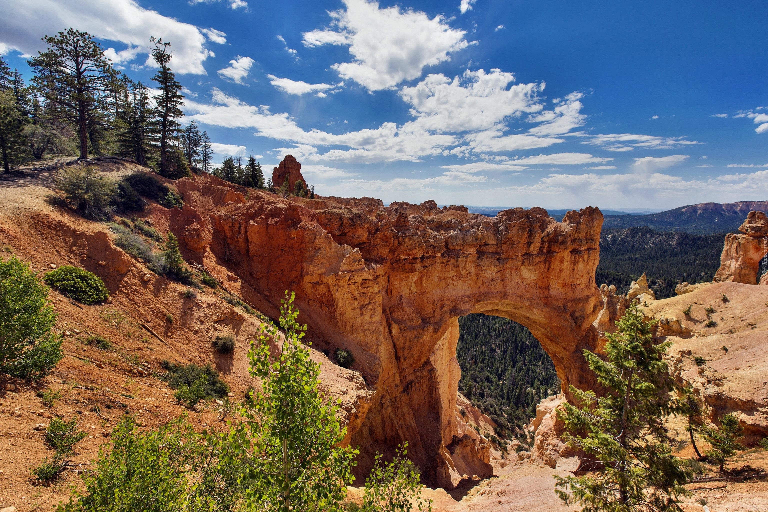 Kanion, Skały, Utah, USA