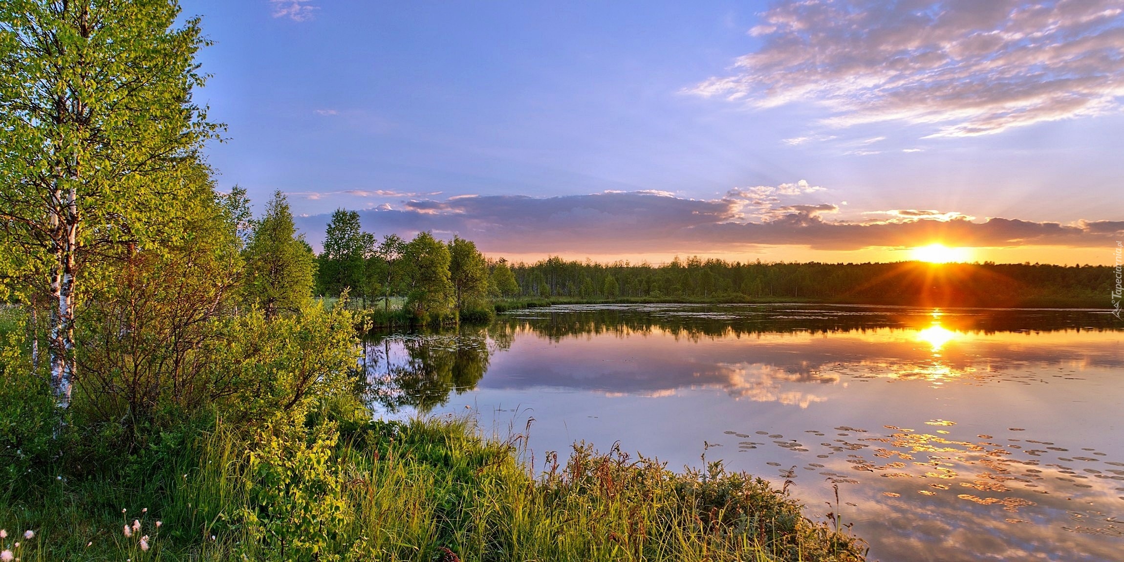 Jezioro, Lasy, Zachód, Słońca