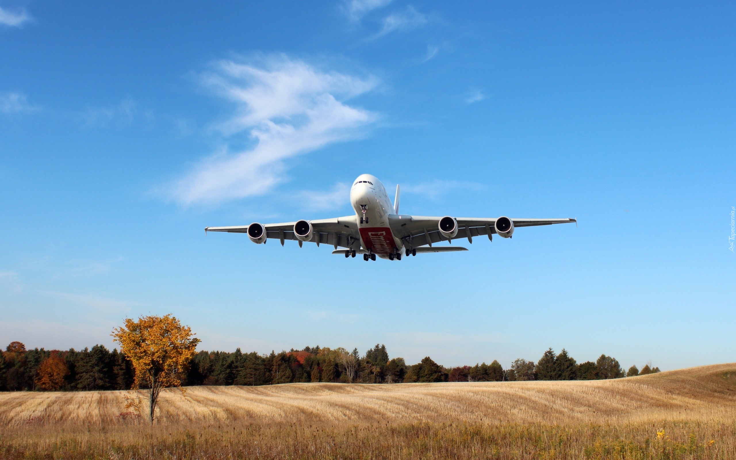 Samolot, Airbus A380, Łąka, Las