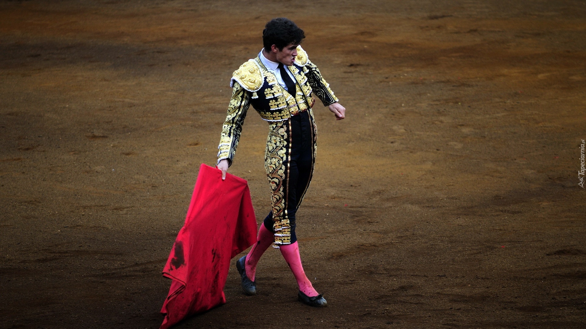 Torreador, Corrida, Hiszpania