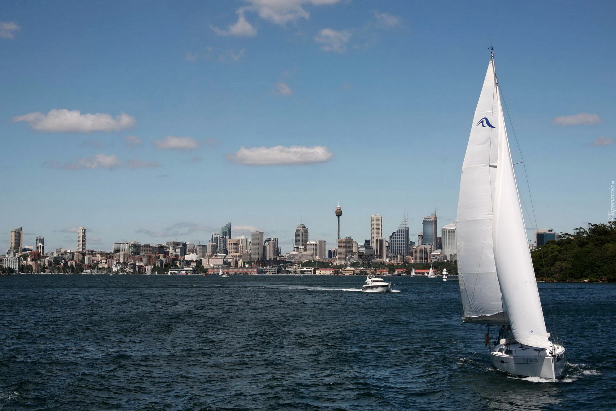 Australia, Sydney, Miasto, Zatoka, Motorówka, Żaglówki