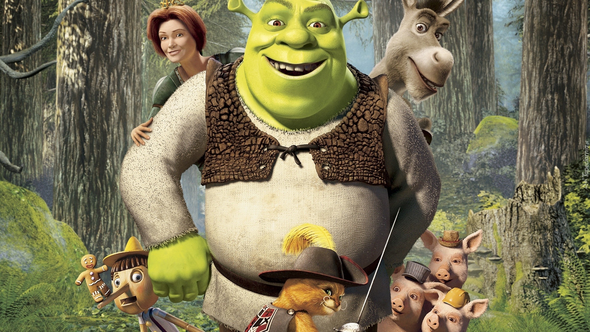 Shrek, Osioł, Fiona, Pinokio, Ciastek, Kot, Świnki, Las