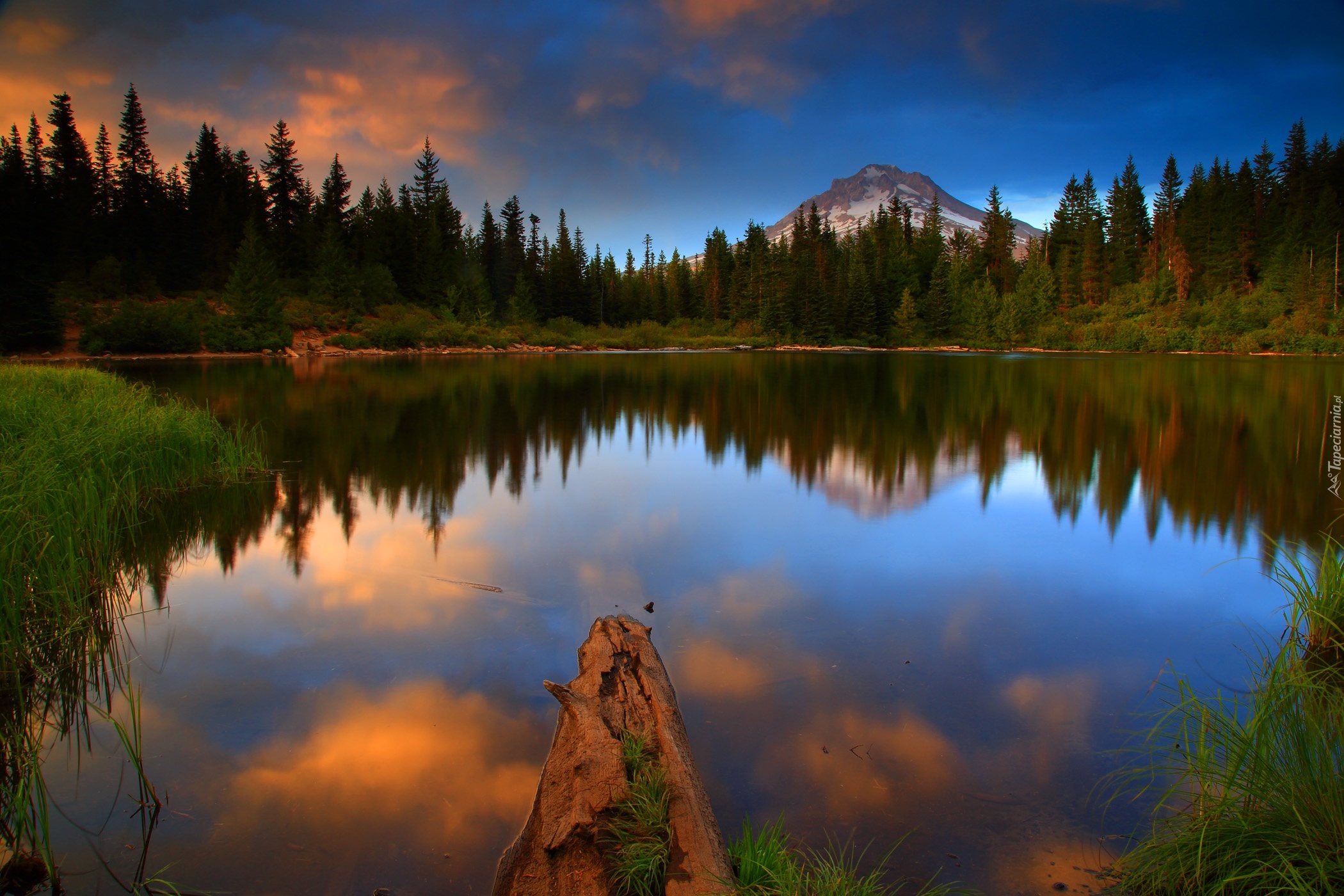 Stany Zjednoczone, Stan Kalifornia, Park Narodowy Yosemite, Jezioro Mirror Lake, Las, Odbicie