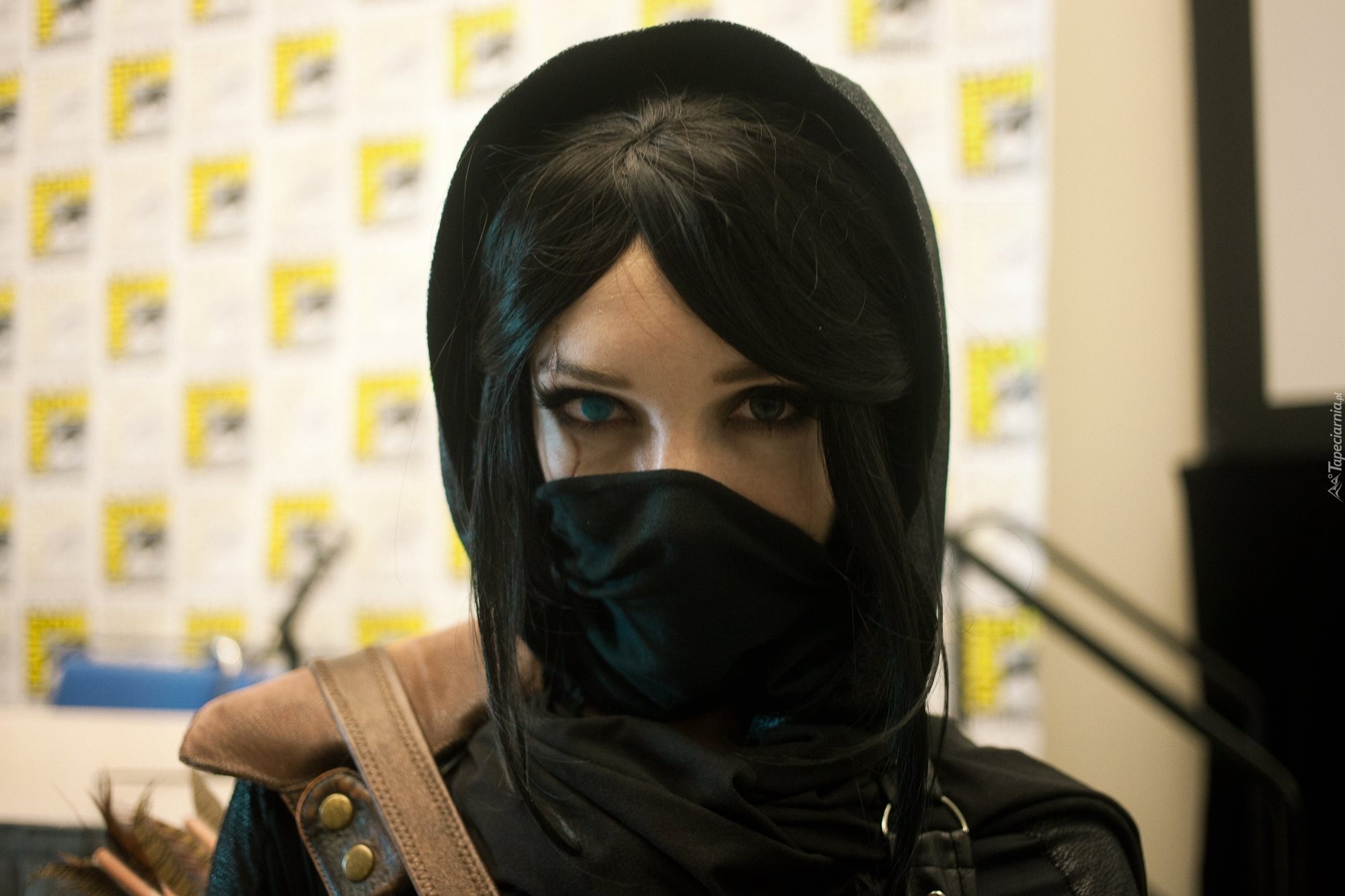 Thief, Cosplay, Garret