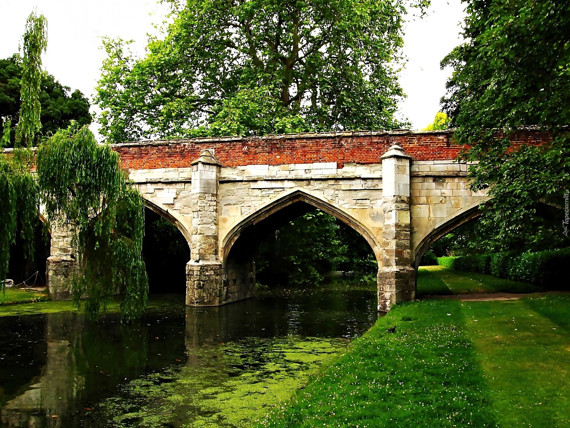 Park, Rzeczka, Kamienny, Most