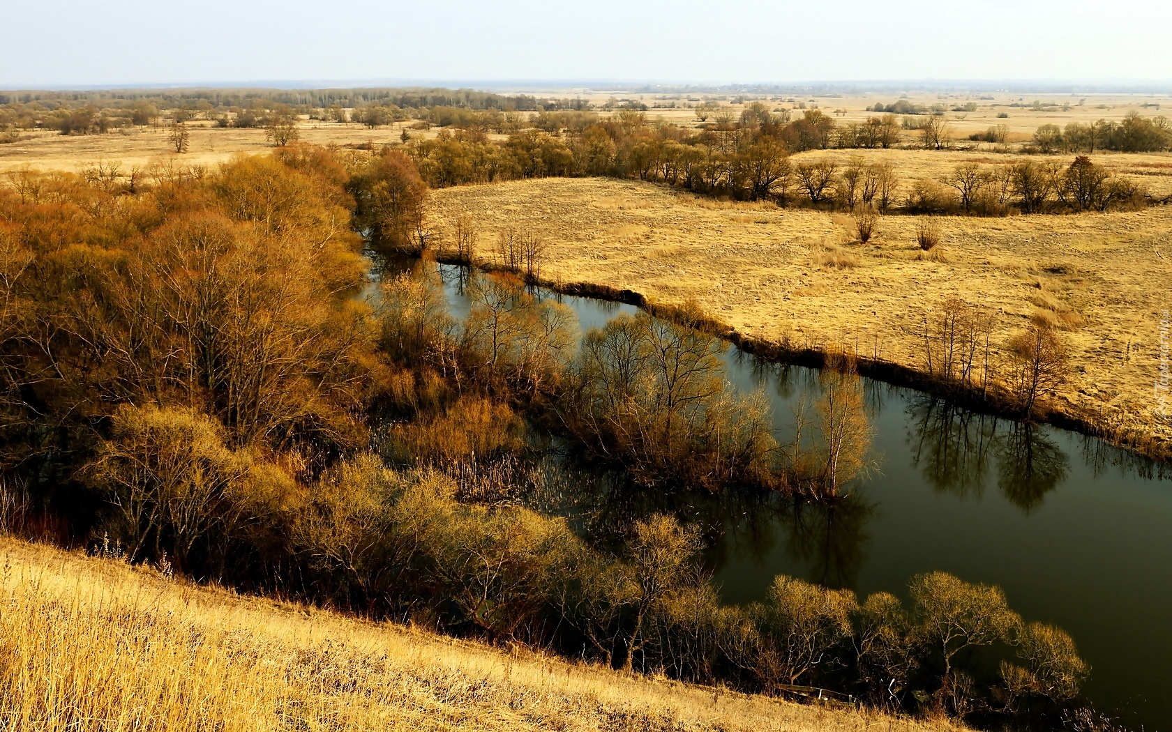 Rzeka, Łąki, Roślinność