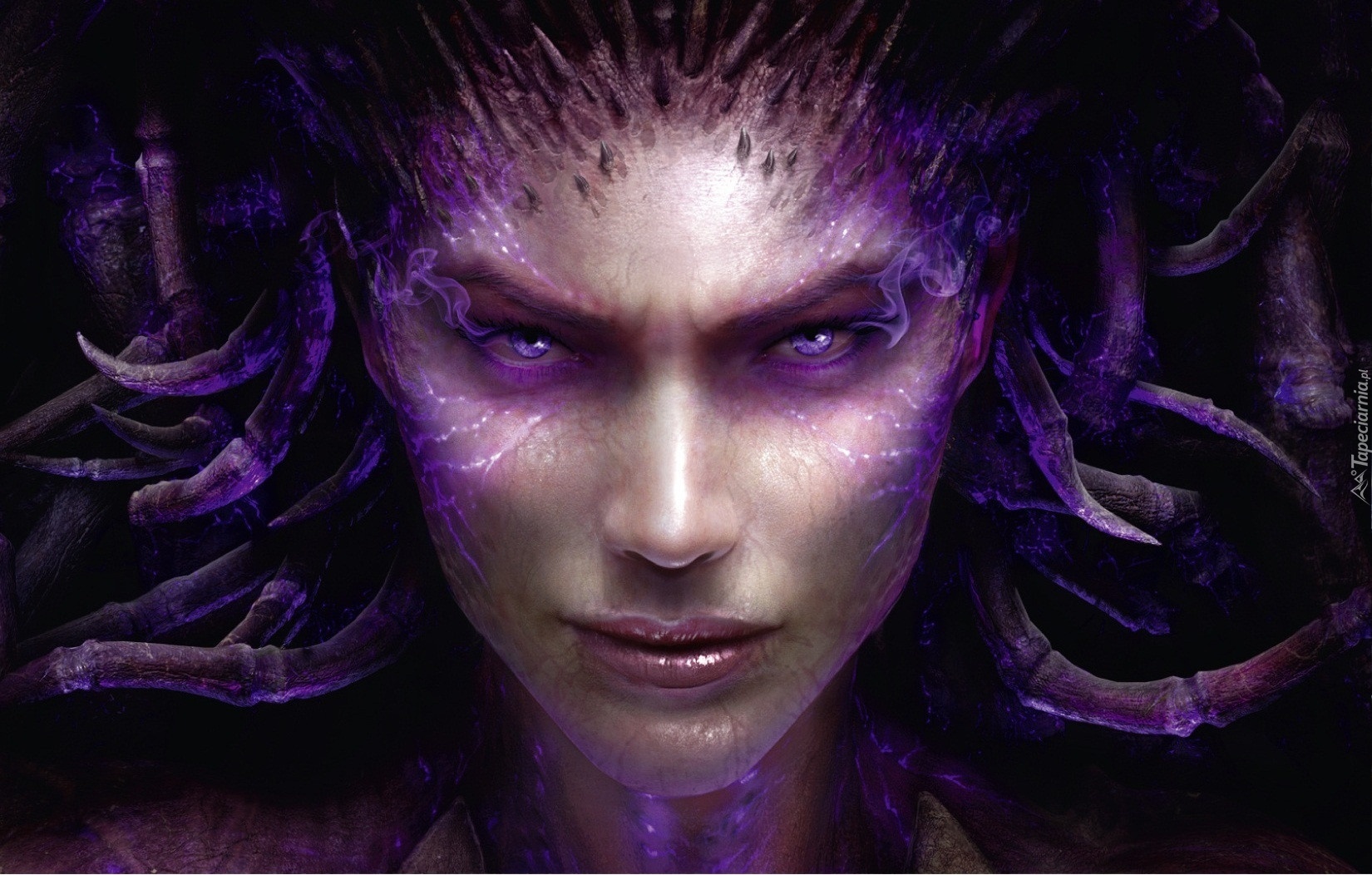 Starcraft 2:Heart Of The Swarm, Kerrigan