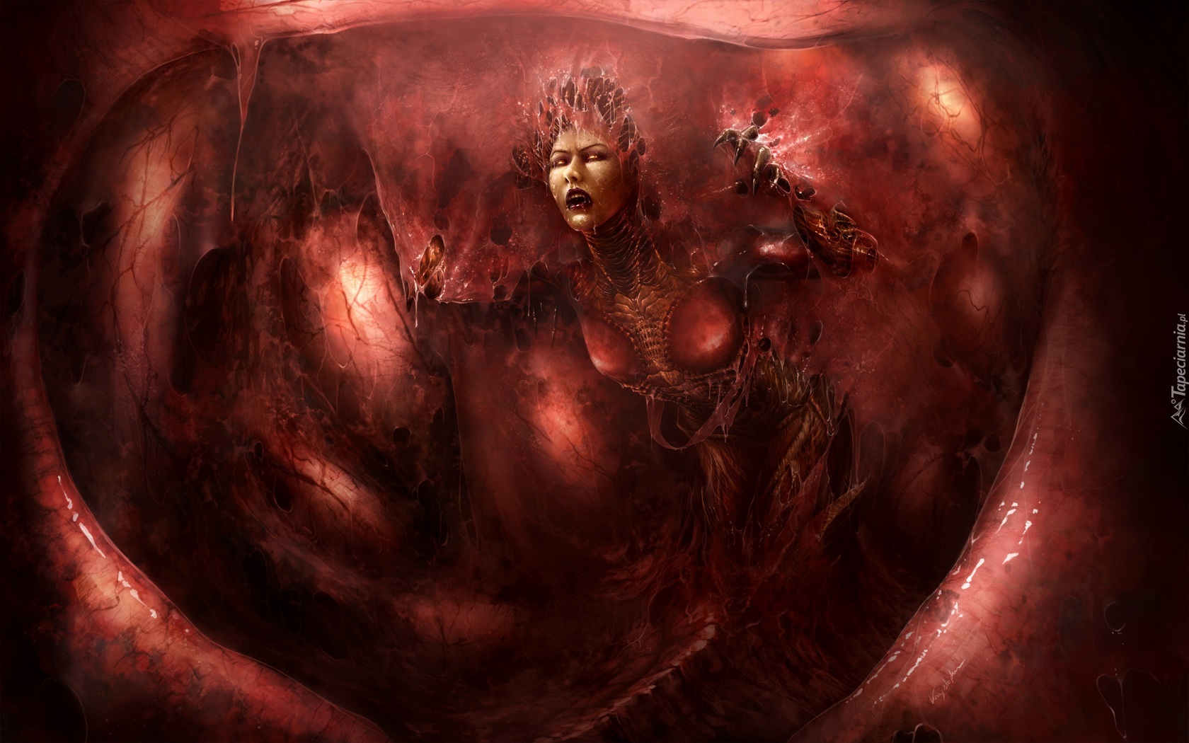 Starcraft 2 Heart Of The Swarm, Kerrigan