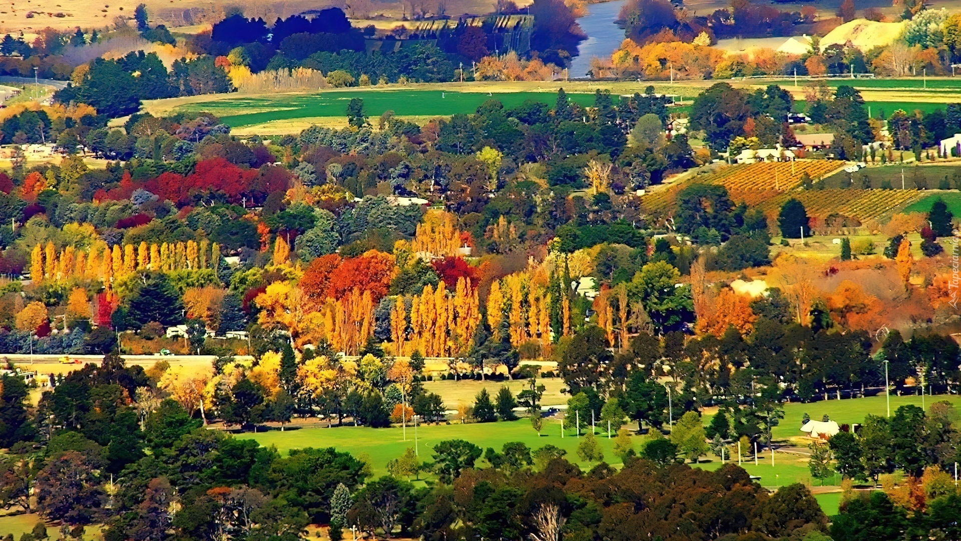 Las, Kolory, Queensland, Australia