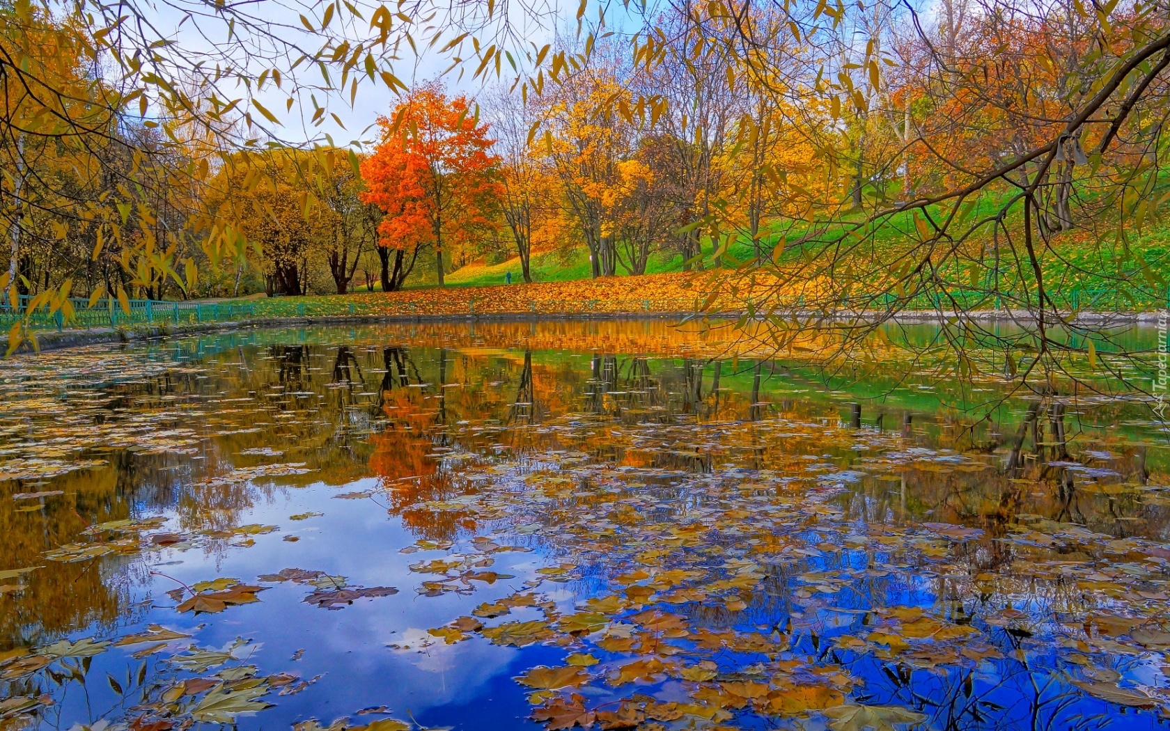 Park, Drzewa, Staw, Liście, Jesień