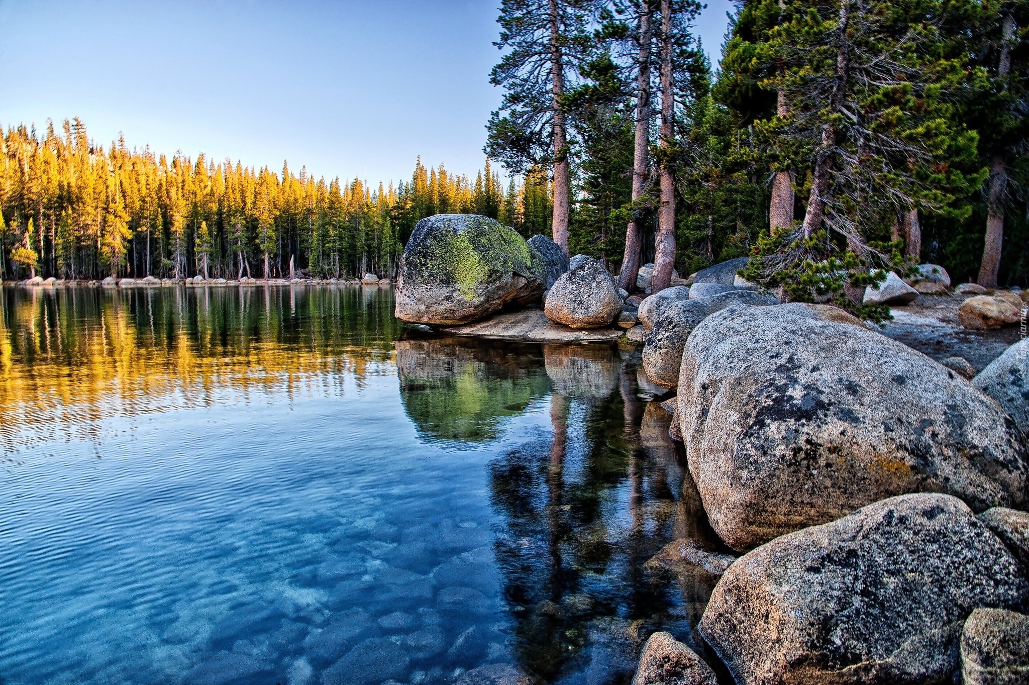 Stany Zjednoczone, Stan Kalifornia, Park Narodowy Yosemite, Las, Jezioro Tenaya, Kamienie