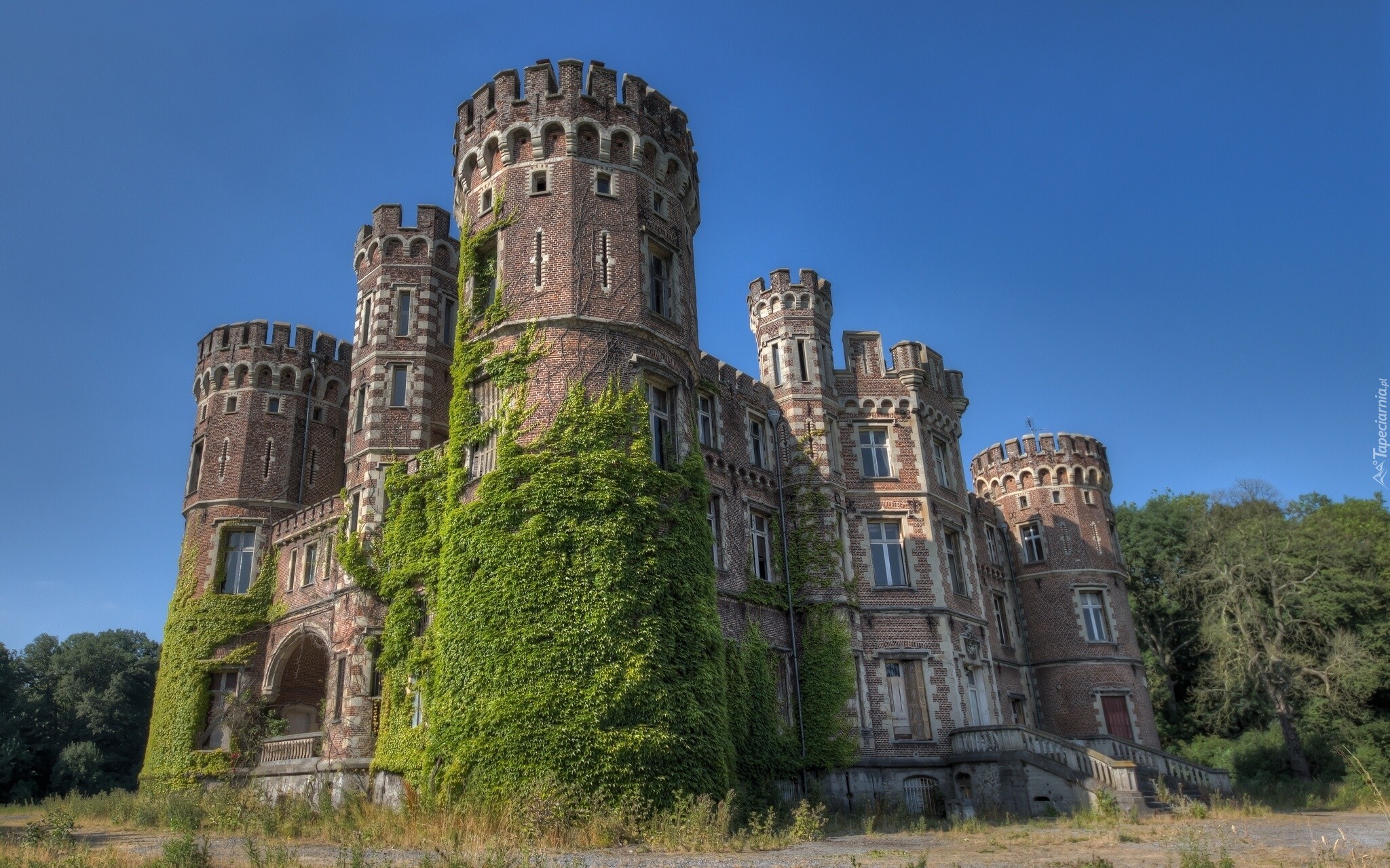 Chateau De La Foret, Belgia, Zamek, Winorośl