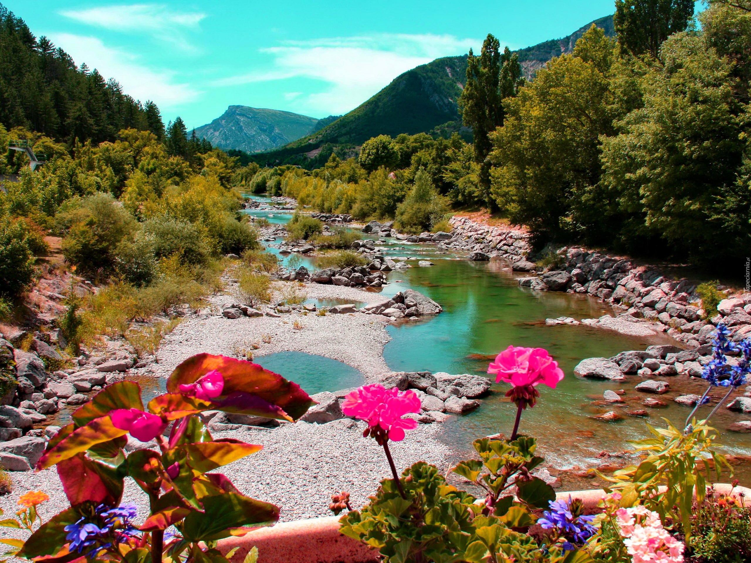 Rzeka, Góry, Las, Kwiatki