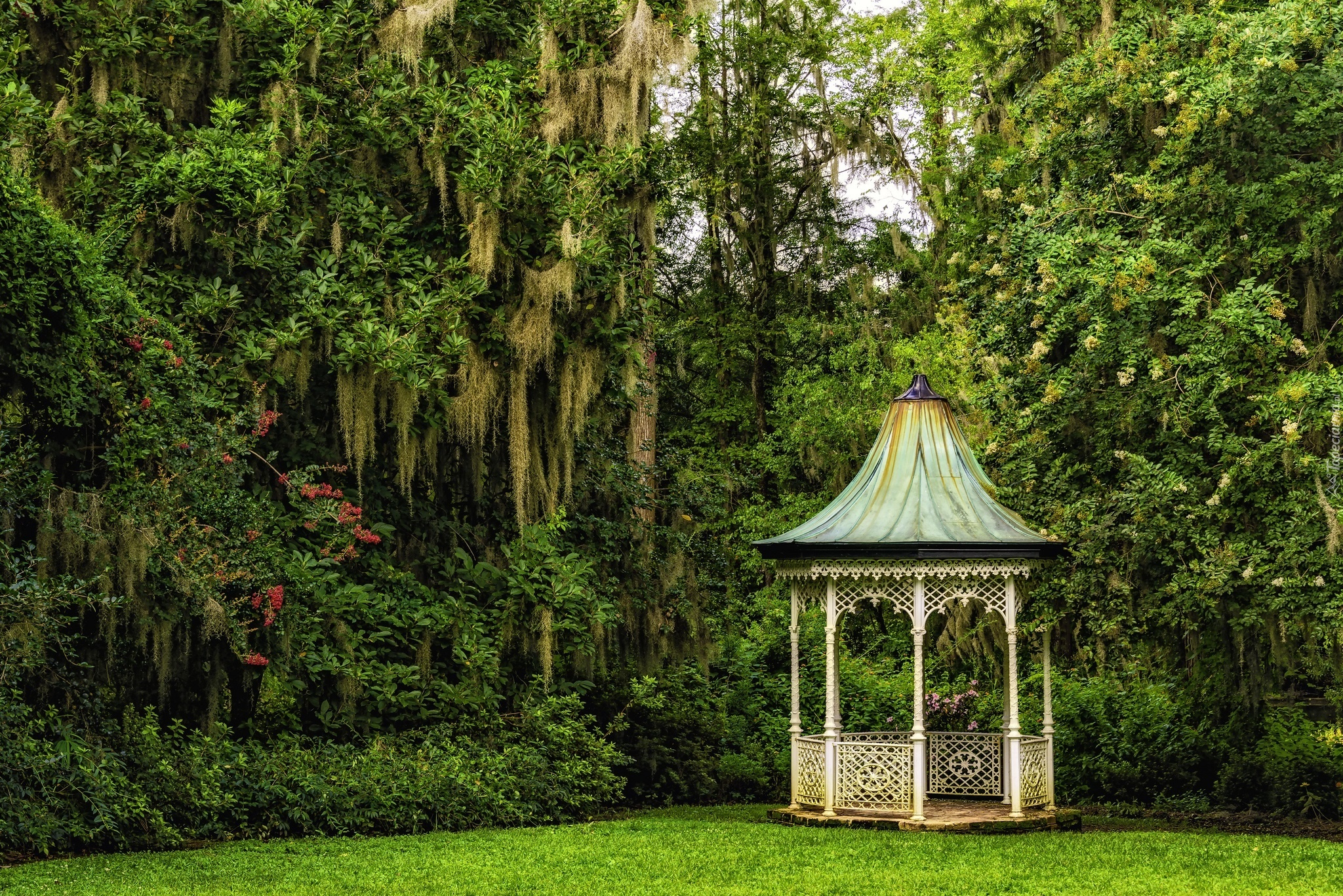 Ogród Botaniczny, Południowa Karolina, Drzewa, Altana