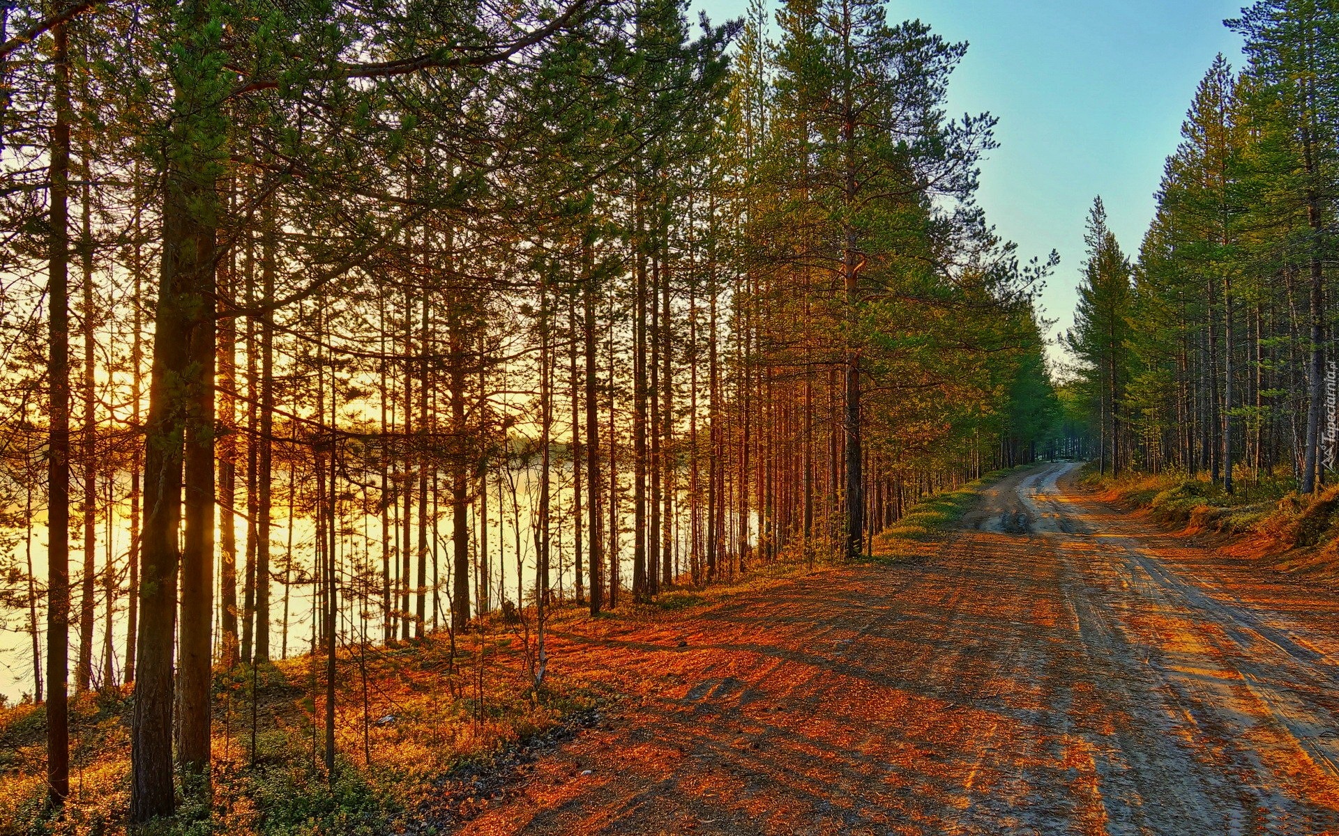Droga, Drzewa, Jezioro, Jesień