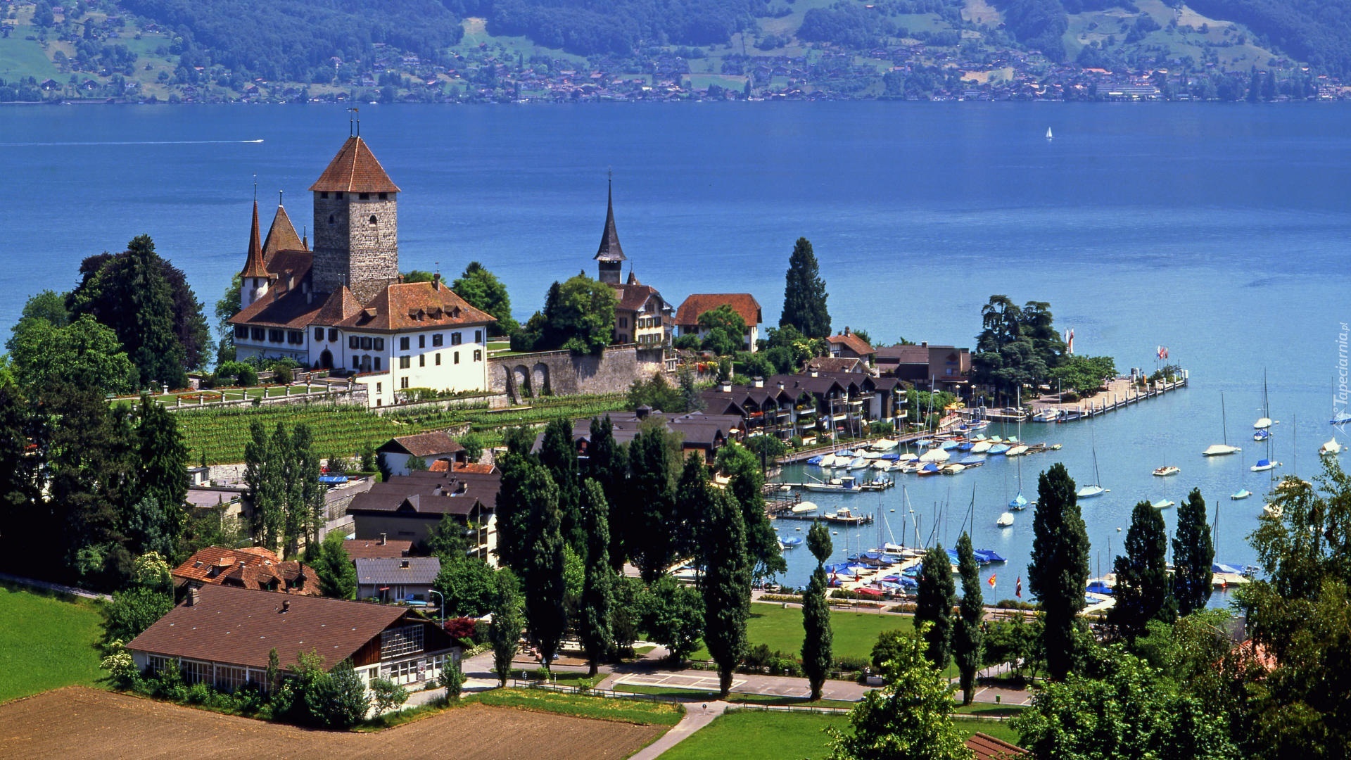 Zamek Spiez Castle, Miasto Spiez, Jezioro Thun, Szwajcaria