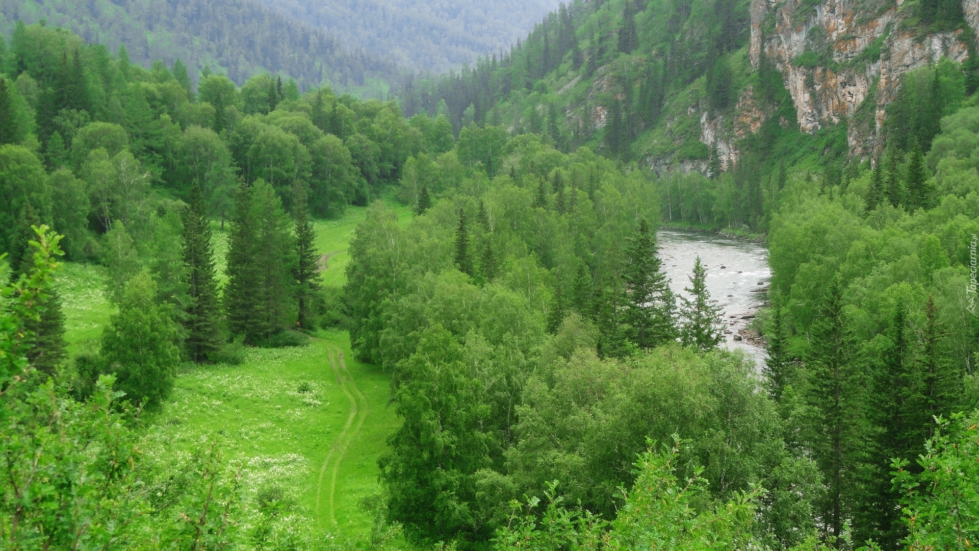 Góry, Lasy, Rzeka, Ścieżka