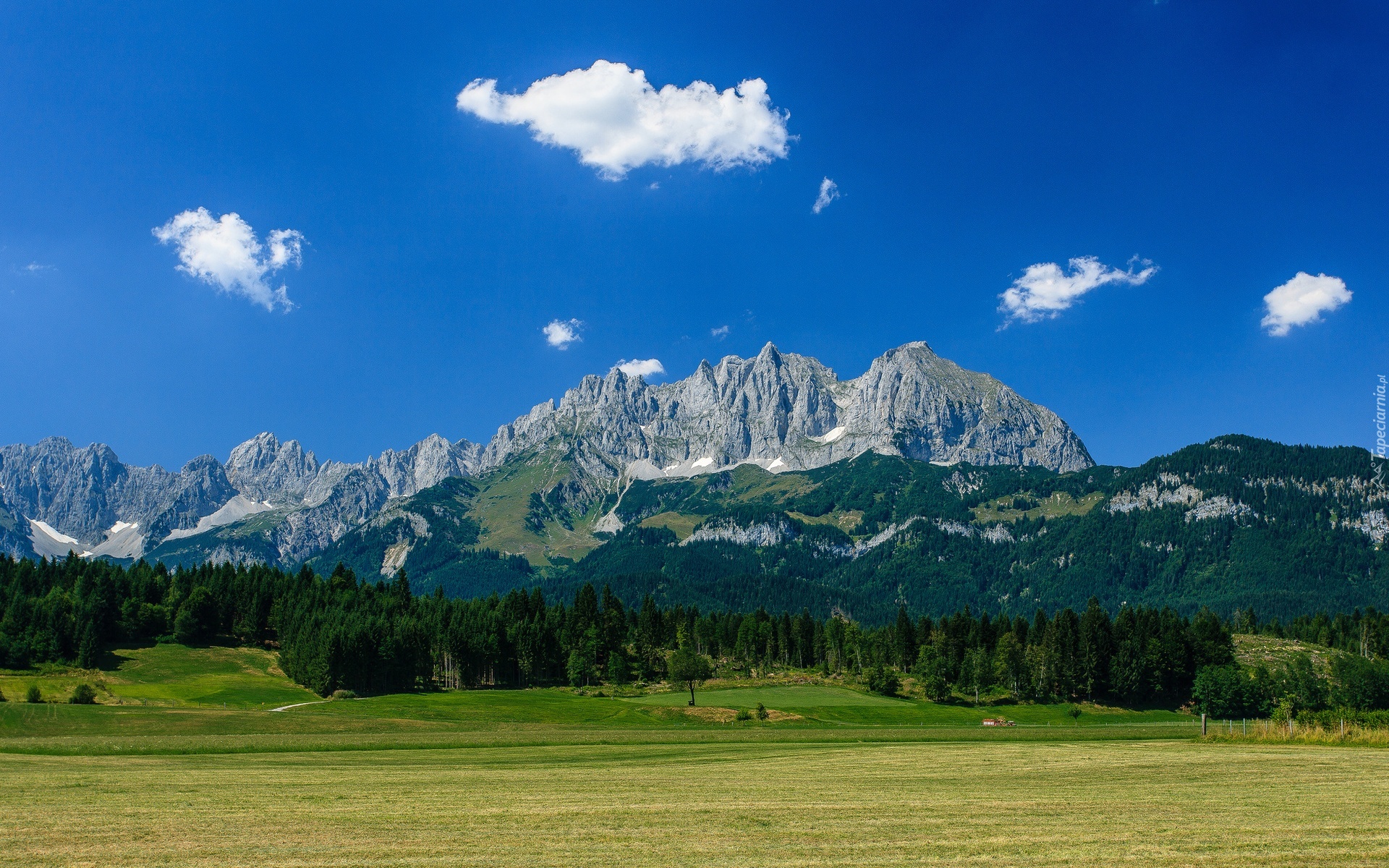 Góry, Lasy, Pola, Łąki