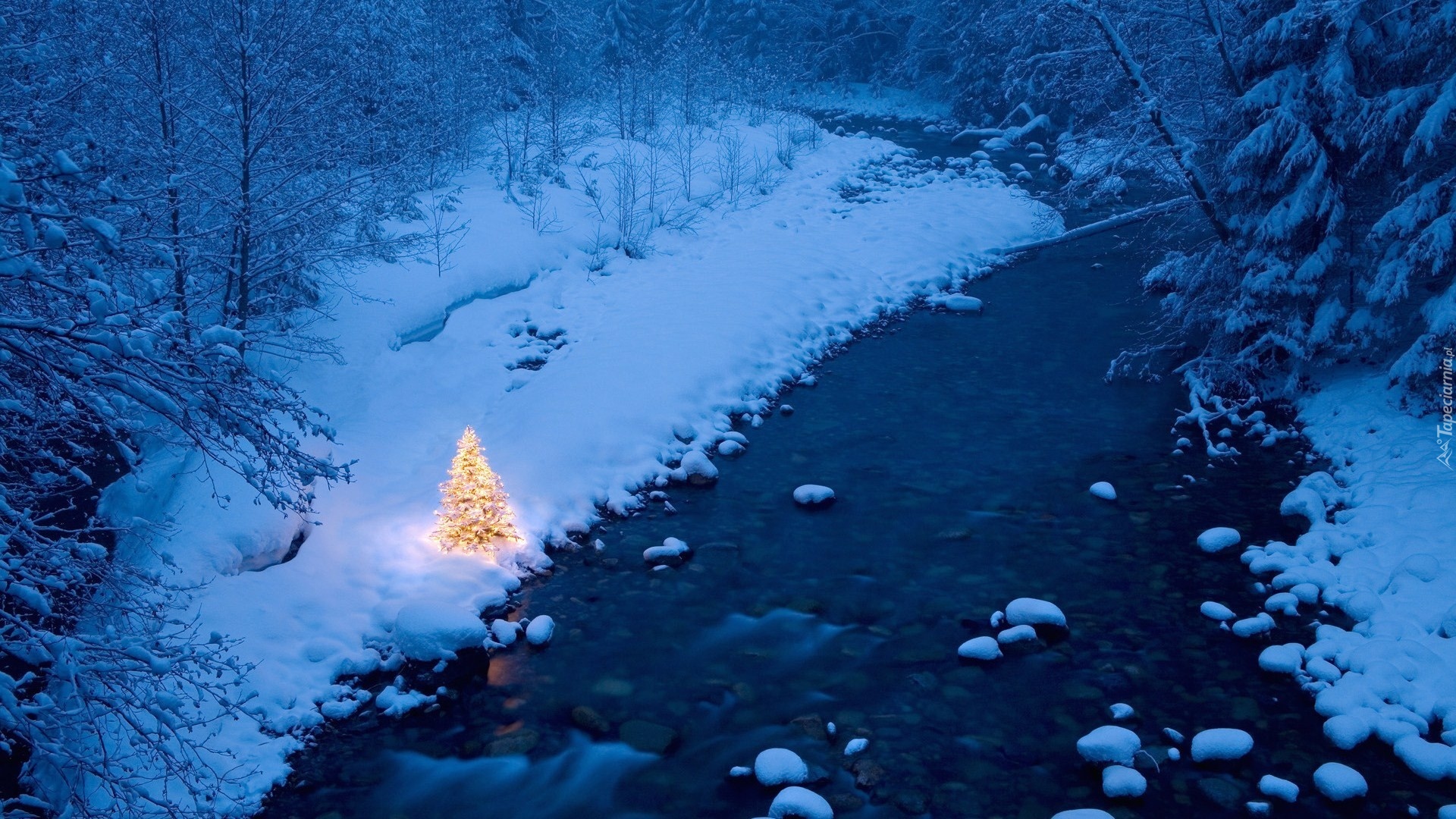 Zima, Rzeka, Las, Choinka, Boże Narodzenie