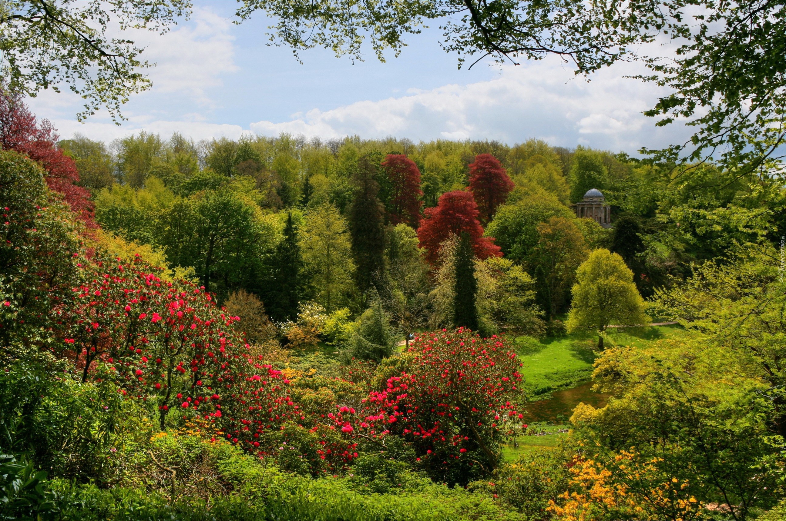 Park, Altana, Kolorowe, Drzewa, Krzewy