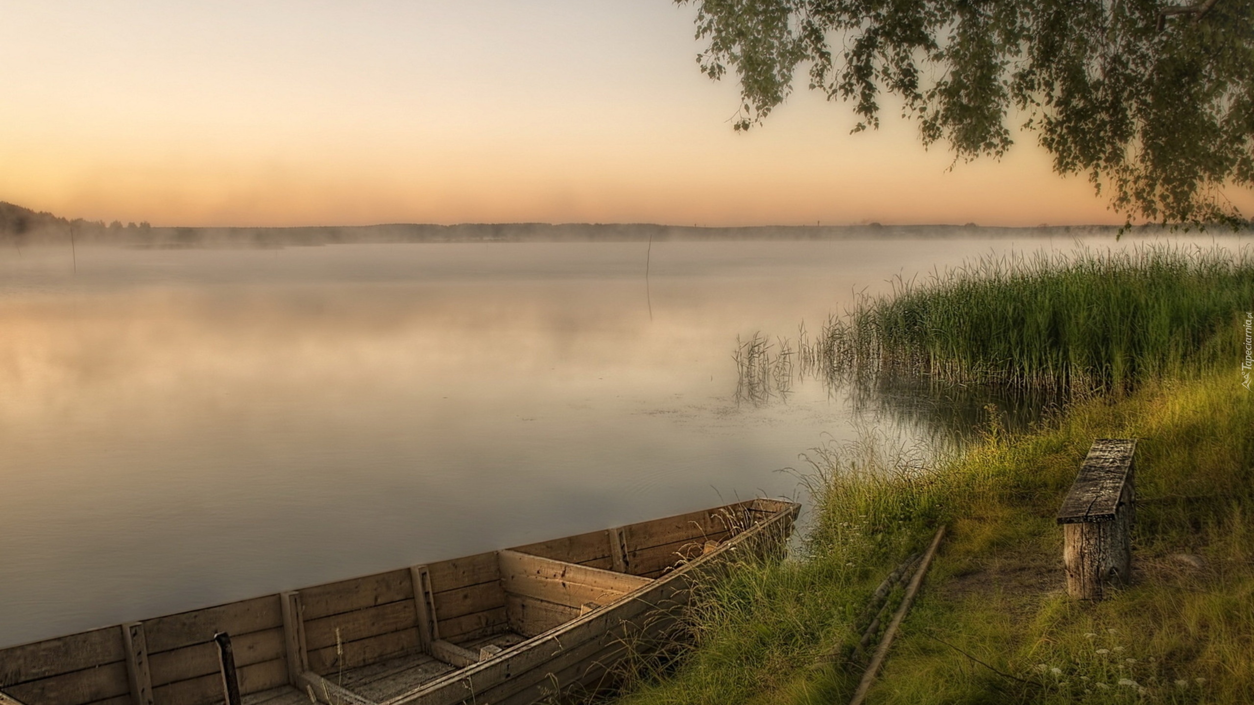 Jezioro, Łódz, Mgła, Szuwary