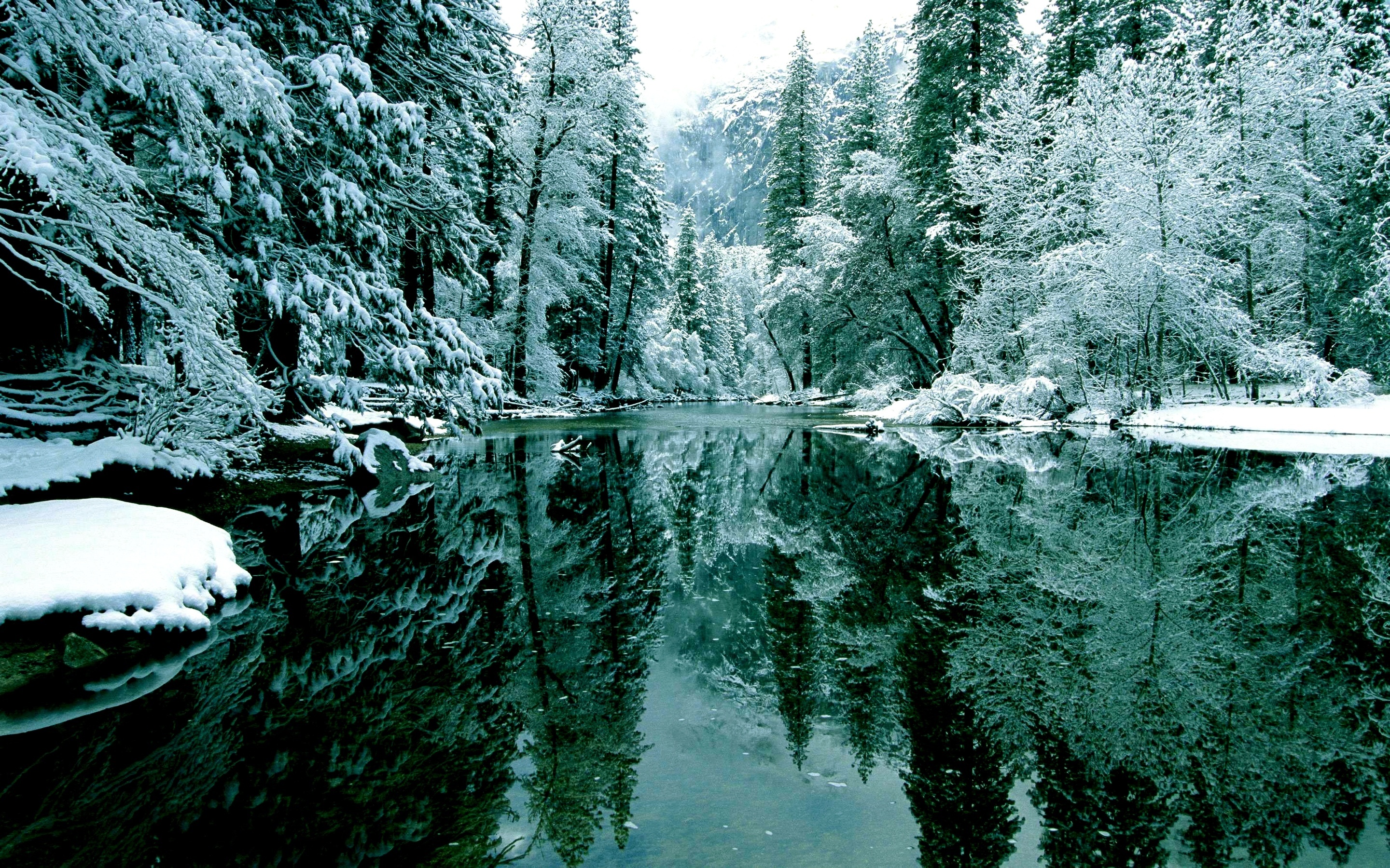 Jezioro, Drzewa, Śnieg, Odbicie
