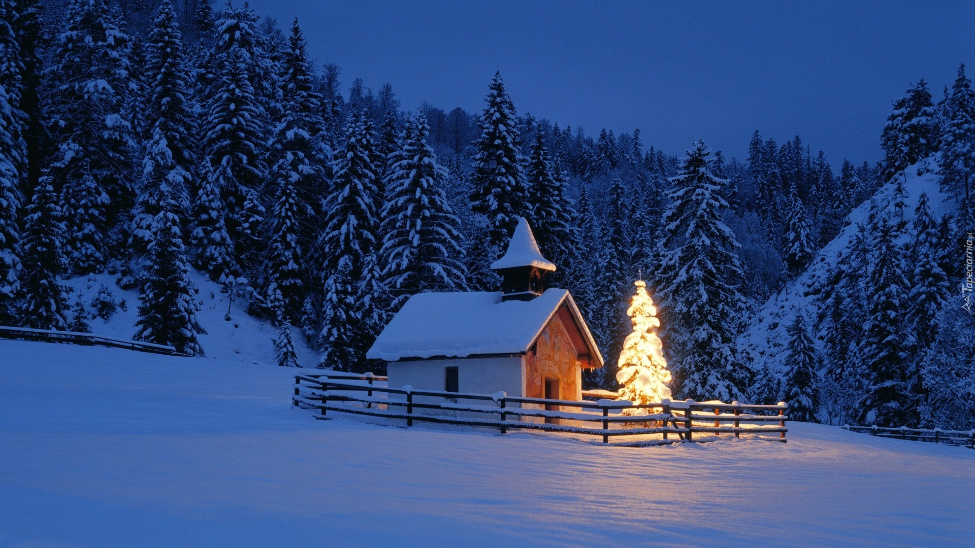 Zima, Dom, Las, Choinka, Boże Narodzenie