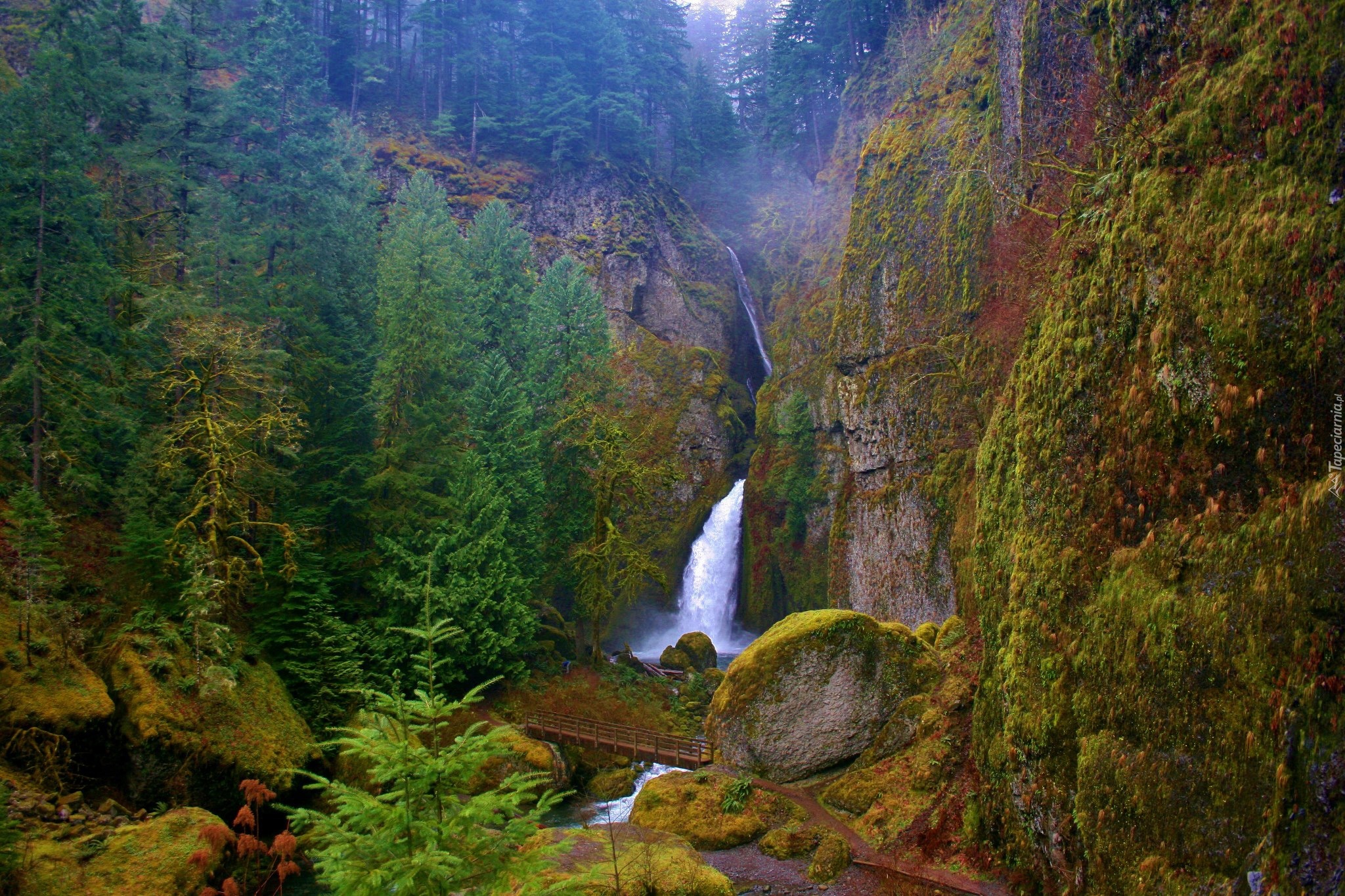 Wodospad, Skały, Las, Wahclella, Oregon