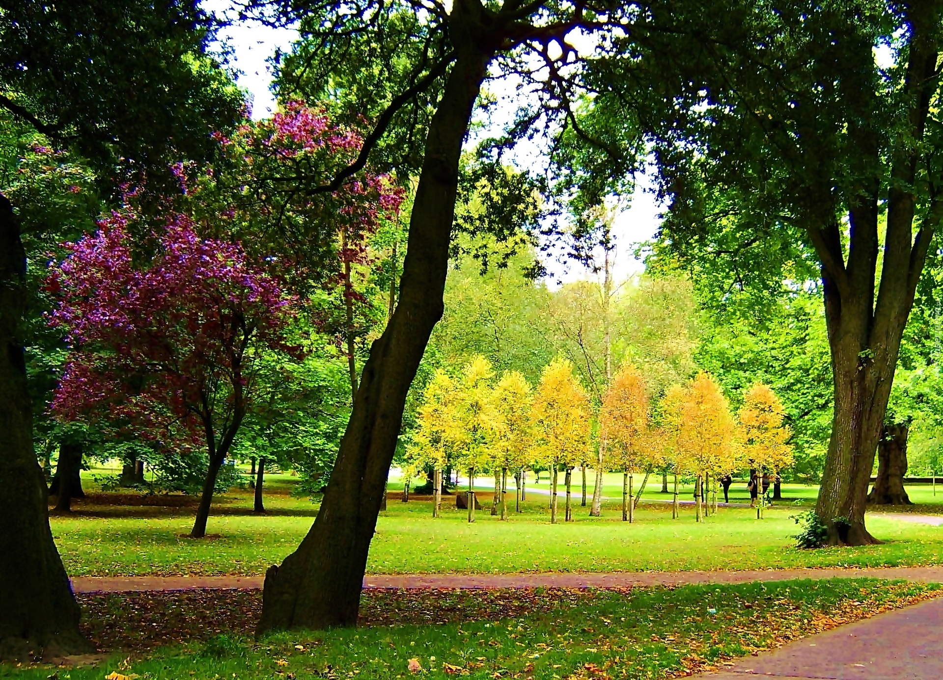 Cardiff, Park