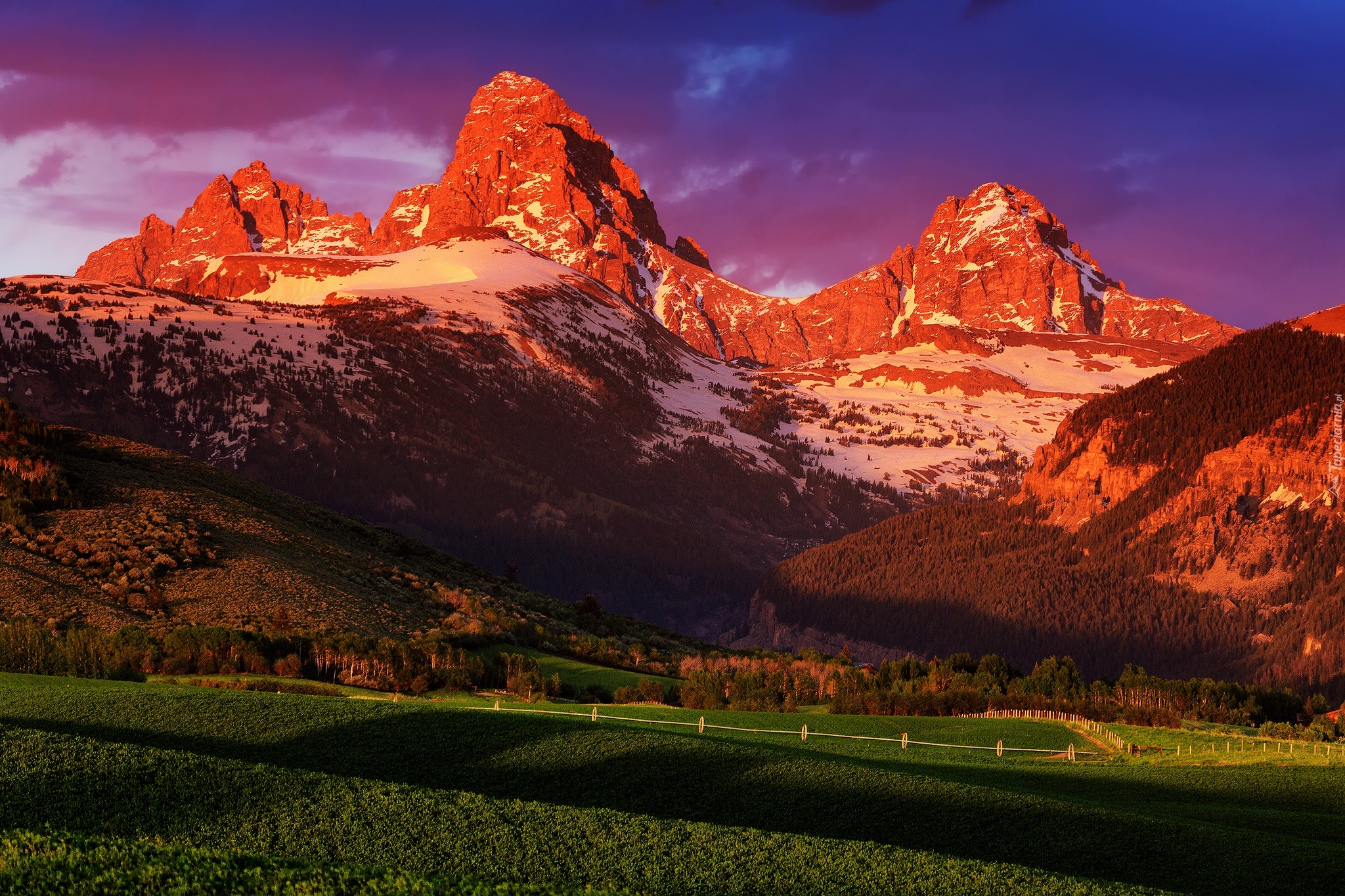 Stany Zjednoczone, Stan Wyoming, Park Narodowy Grand Teton, Góry, Łąki