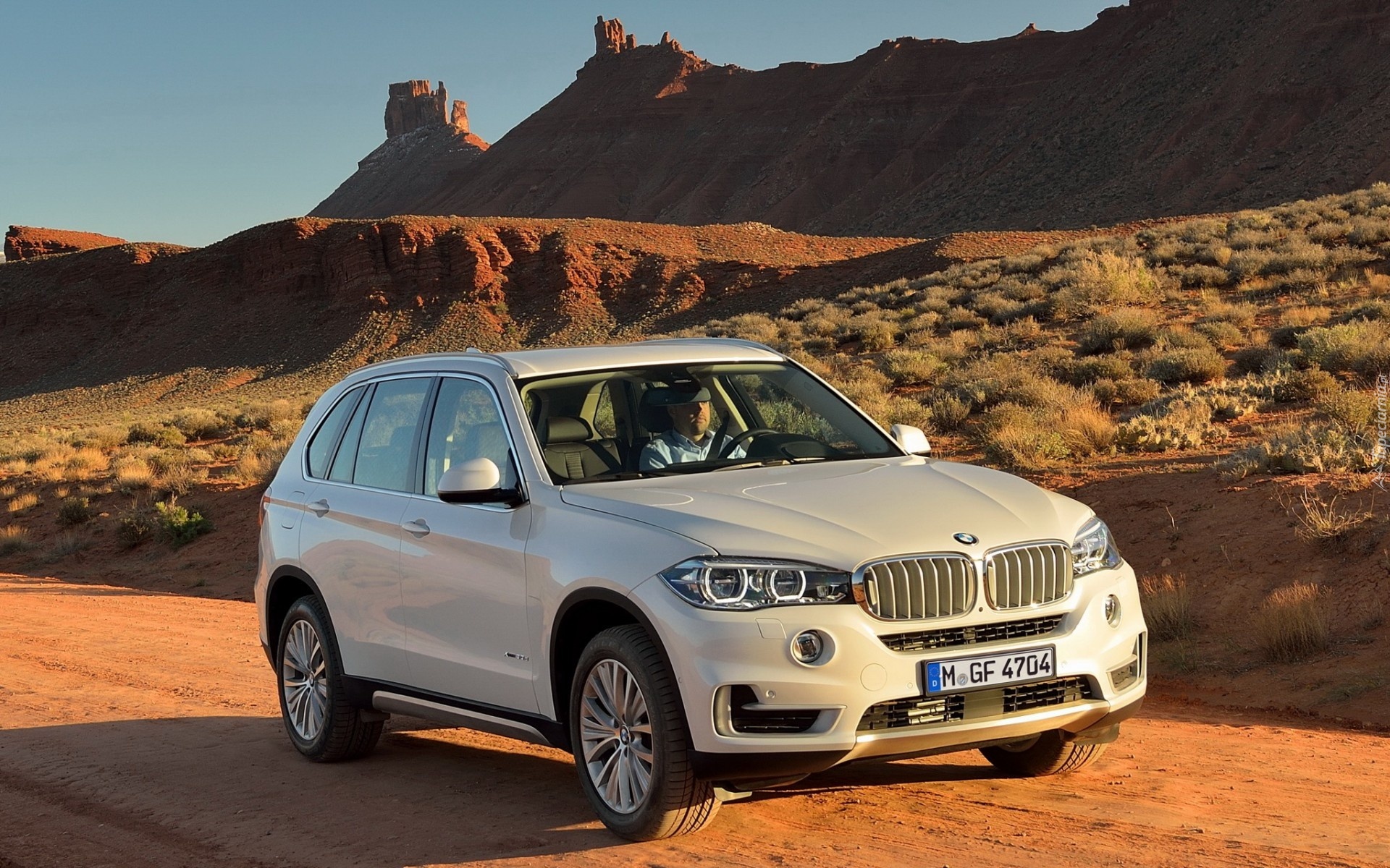 Białe, BMW X5, Model 2014