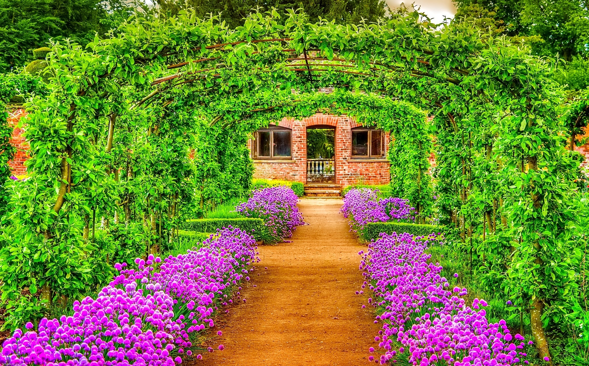 Ogród, Kwiaty, Zielony, Tunel