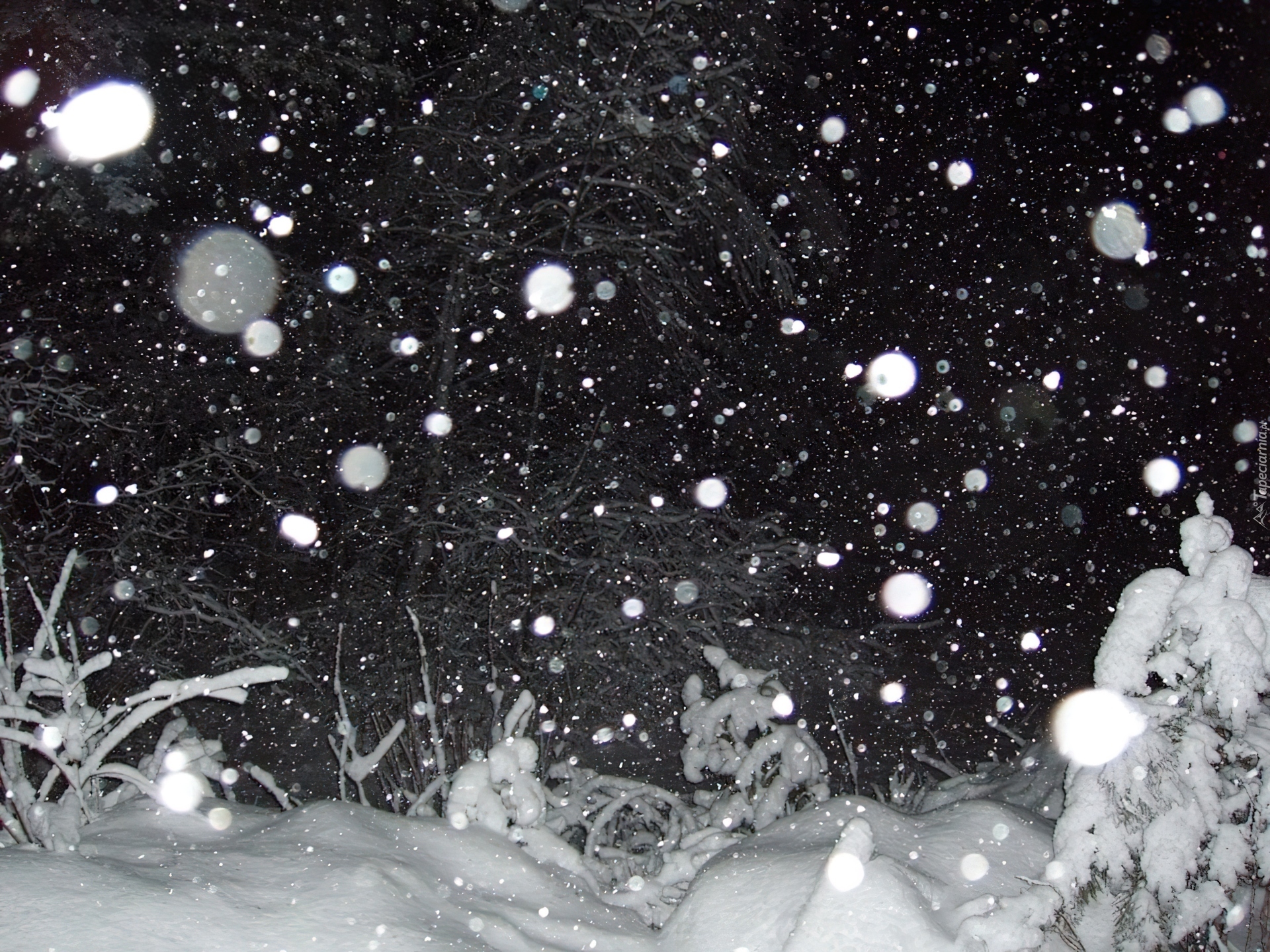 Снежок на дорогу падает. Хлопья снега. Снегопад. Крупные хлопья снега. Падающий снег.