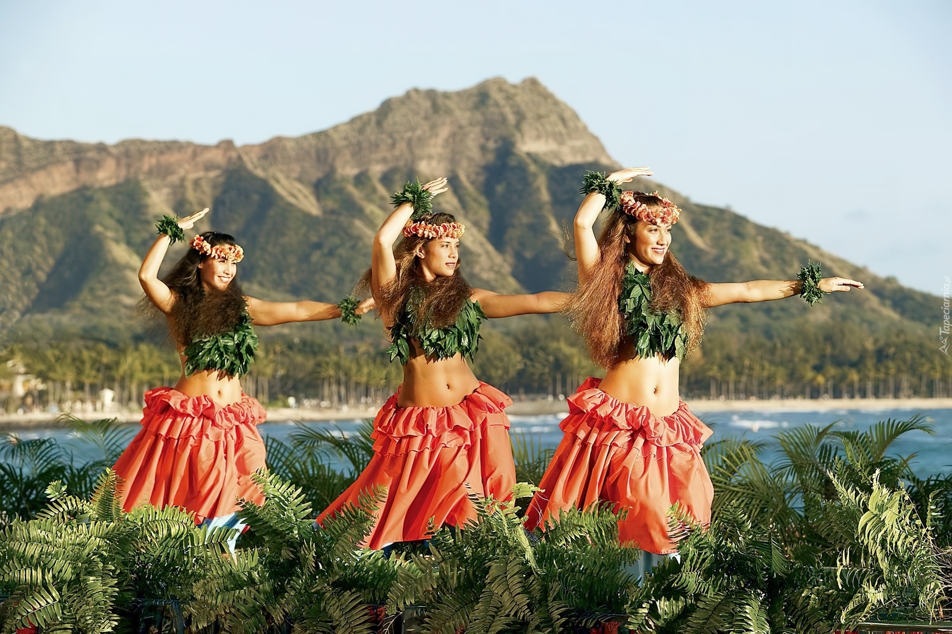 Eros Guide Hawaii