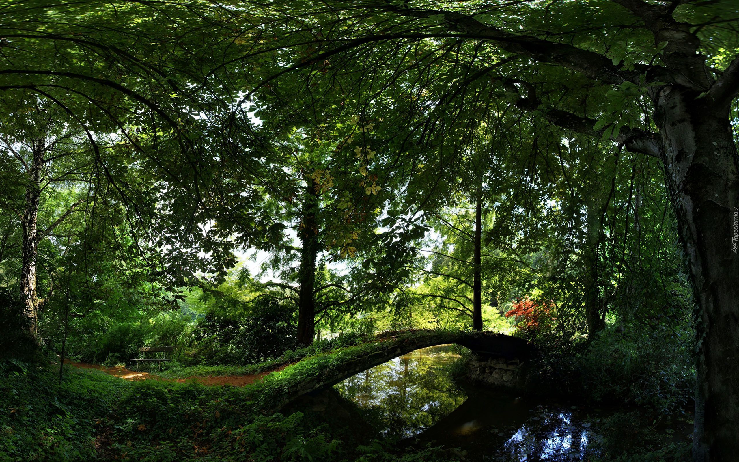 Park, Mostek, Ławeczka