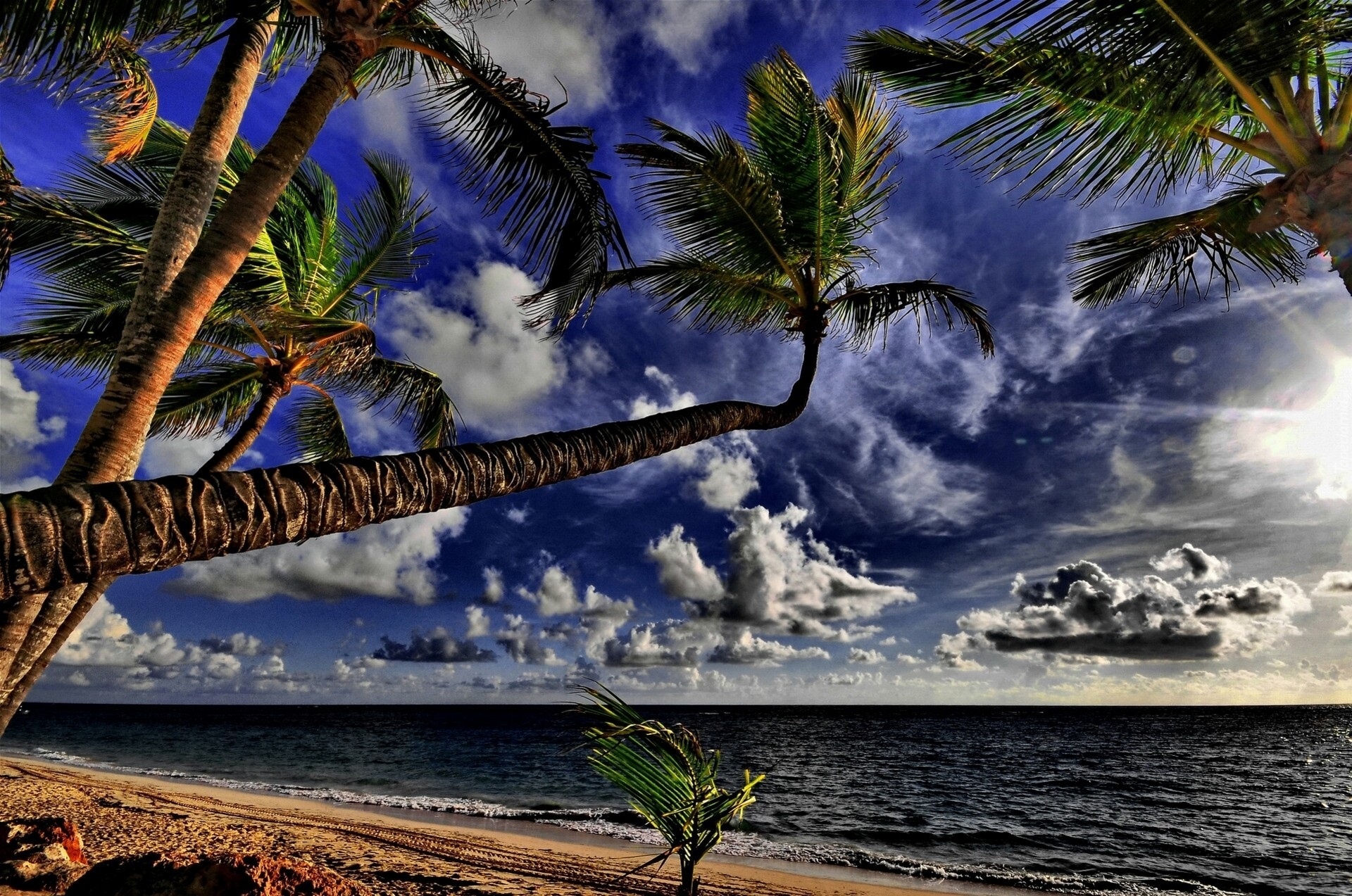 Ocean, Plaża, Palmy, Tropiki