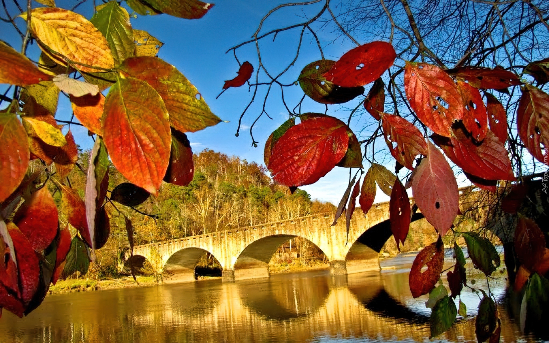Jesień, Las, Liście, Rzeka, Most