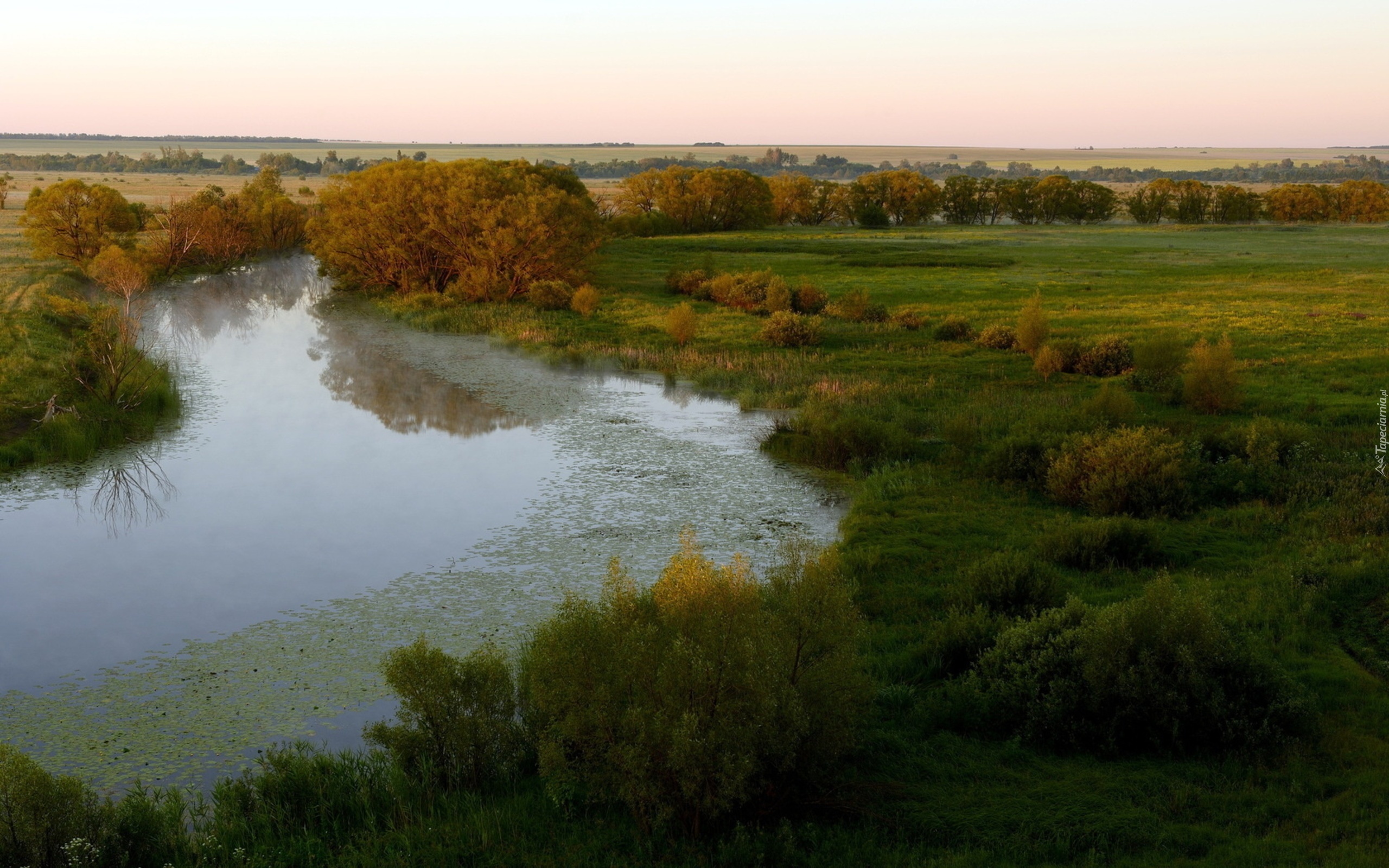 Rzeka, Łąki, Pola, Drzewa, Panorama, Jesień