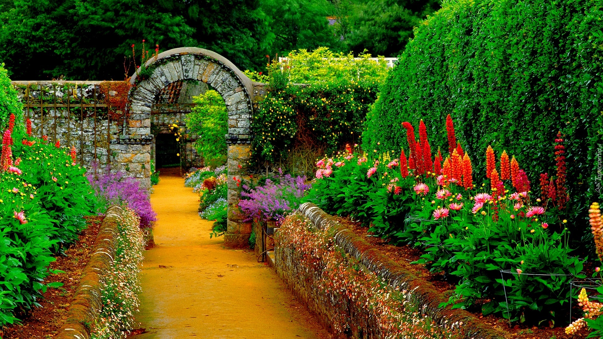 Piękny, Ogród, Ścieżka