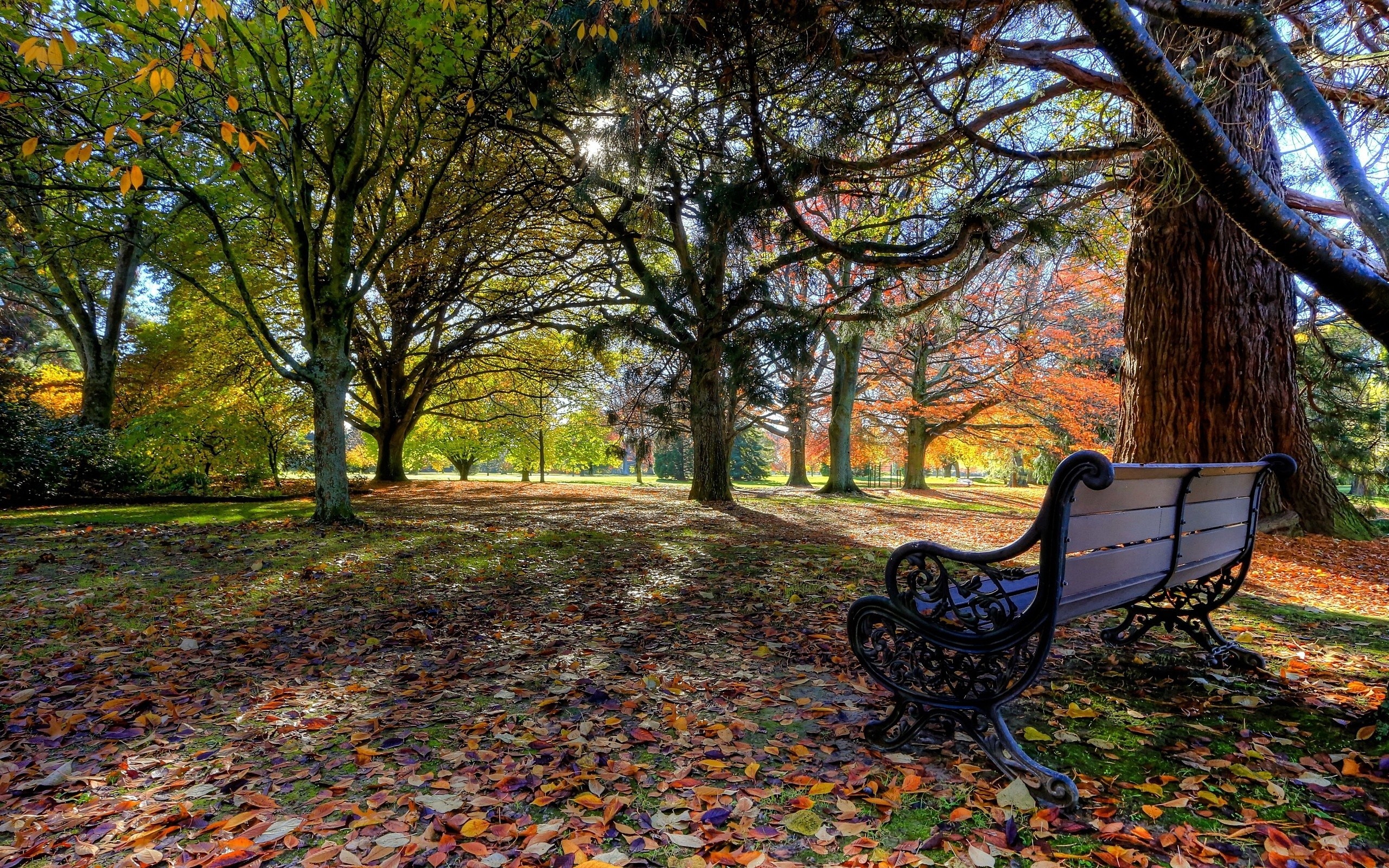 Park, Ławka, Jesień