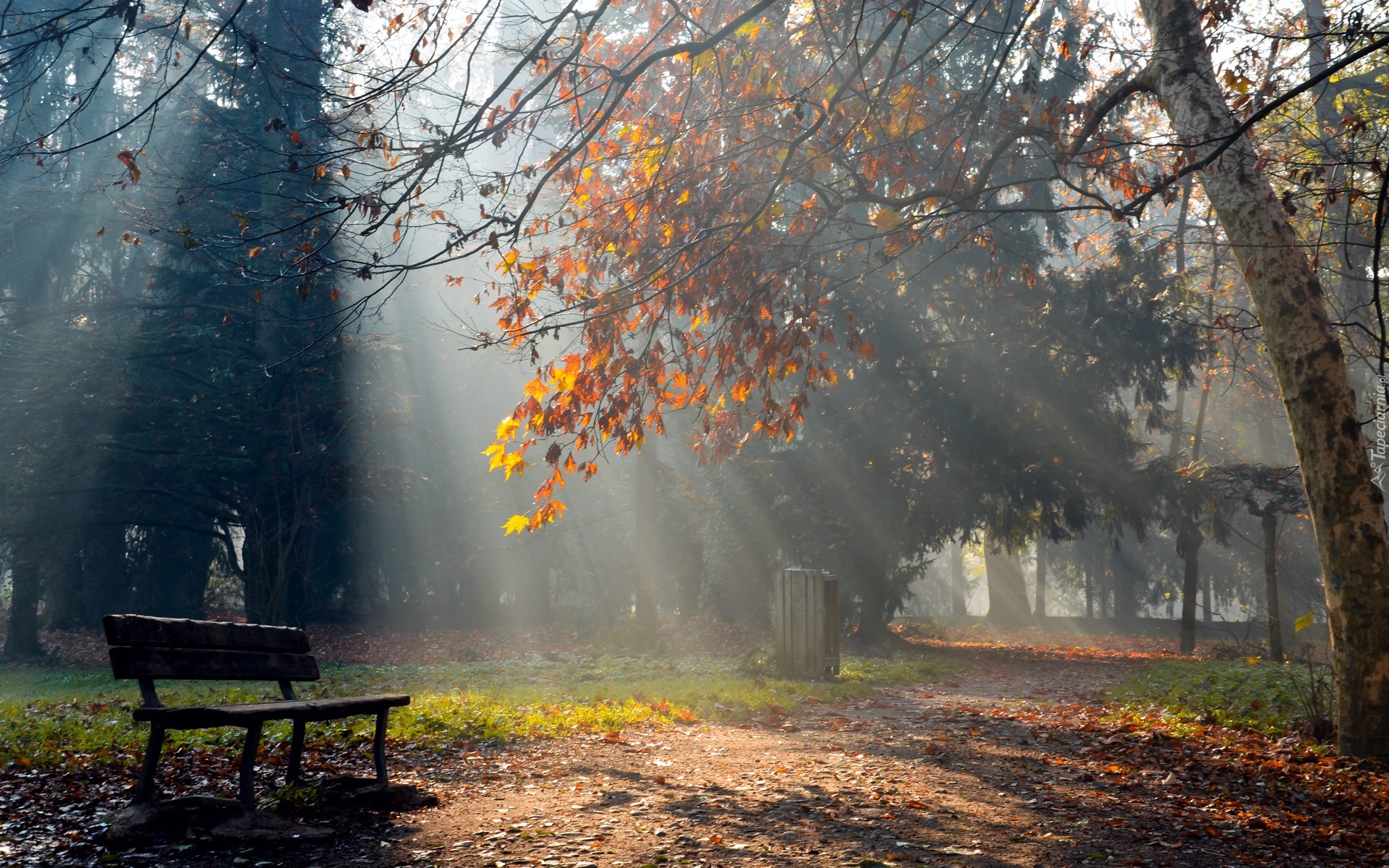 Park, Ławka, Promienie, Słońca, Jesień